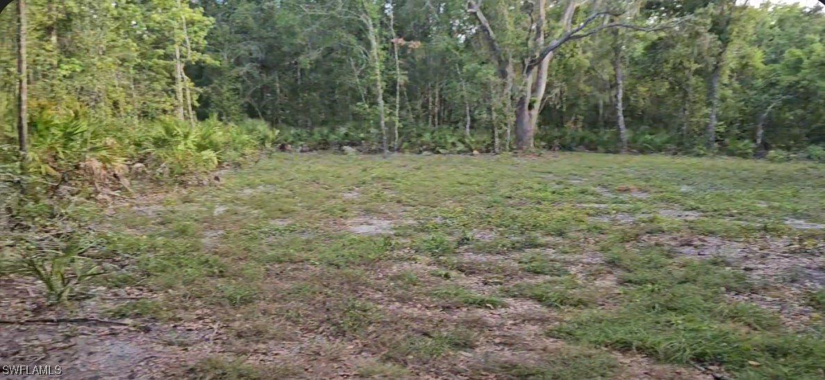 Peace River Woods, Wauchula, FL 33873 MLS 224071086
