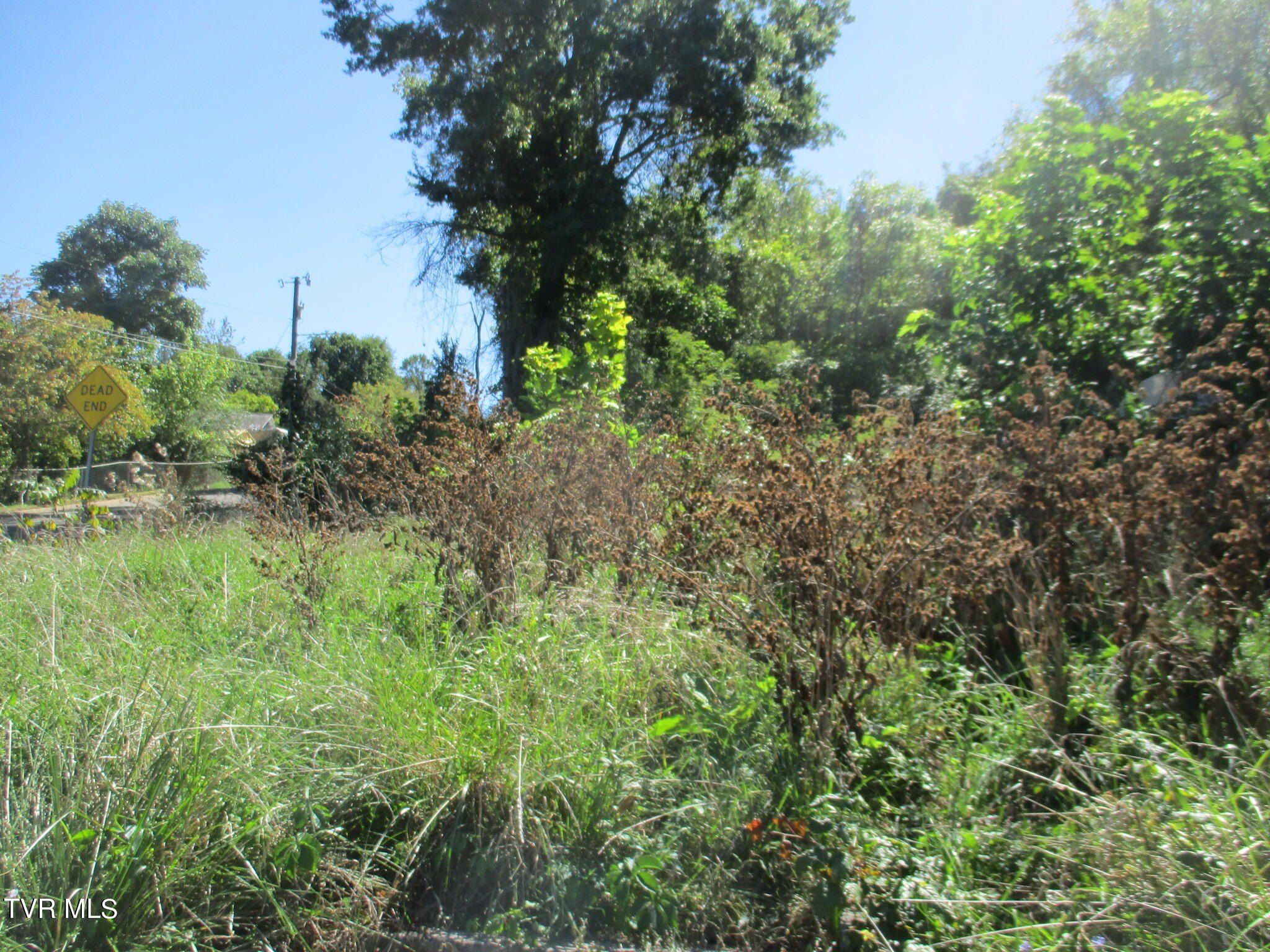 1731 New Hampshire Avenue, Bristol, VA 24201 MLS 9970946