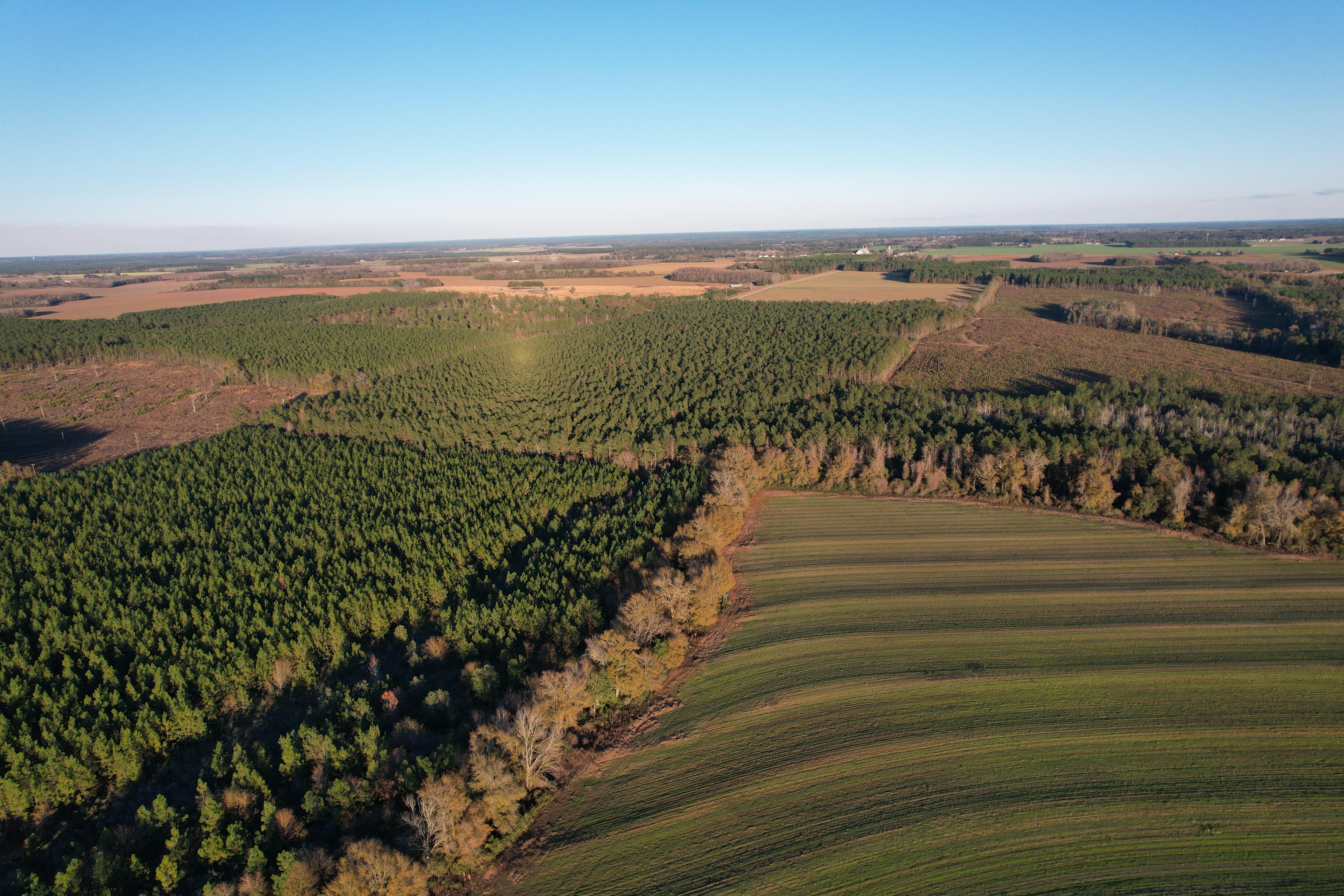 64 acres in Jay, FL, 32565 MLS 647426