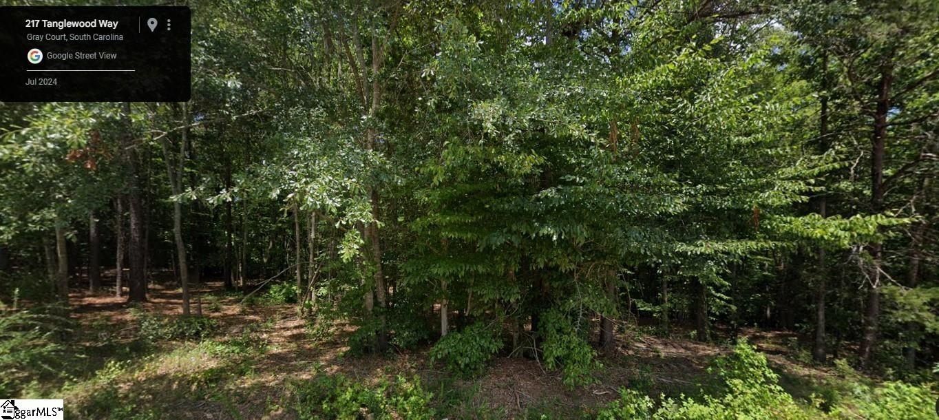 217 Tanglewood Way, Gray Court, SC 29645 MLS 1537462