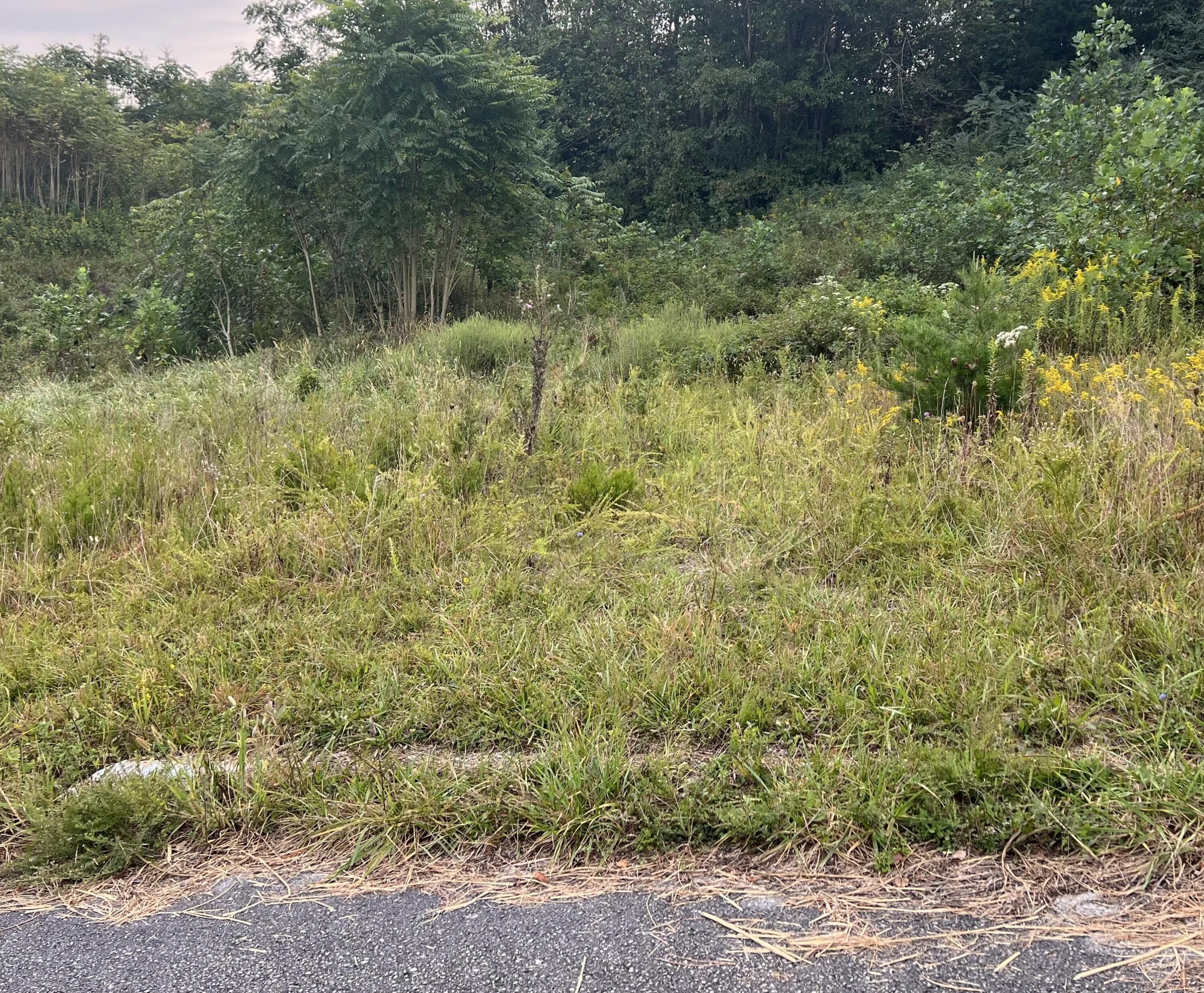 10 Riley Marcum Road, Monticello, KY 42633 MLS 24019489