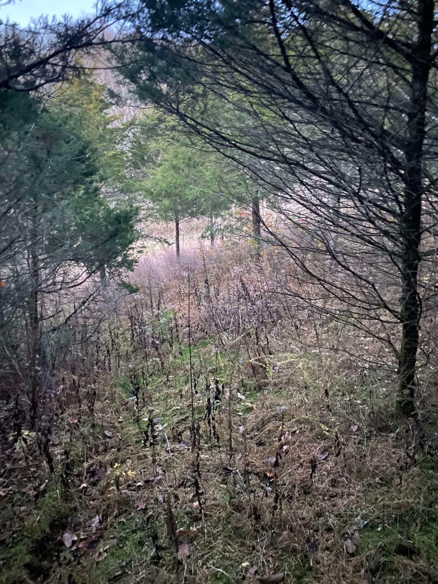 37794173 Keefer Road, Corinth, KY 41010 MLS 24017194