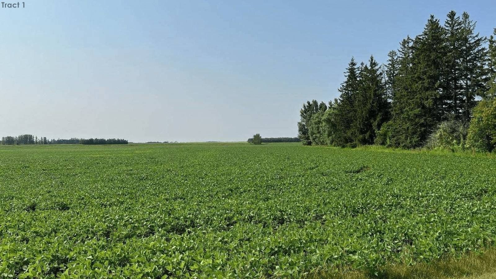 Vacant Land Section 1315644, Newfolden, MN 56738 MLS 11345108