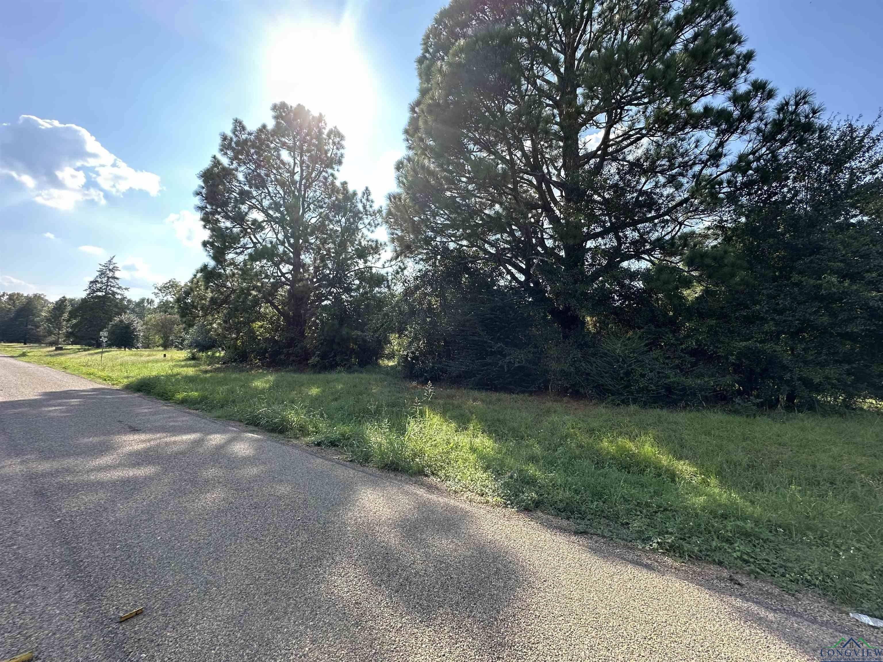 475 SPUR 699, Center, TX 75935 MLS 20245945