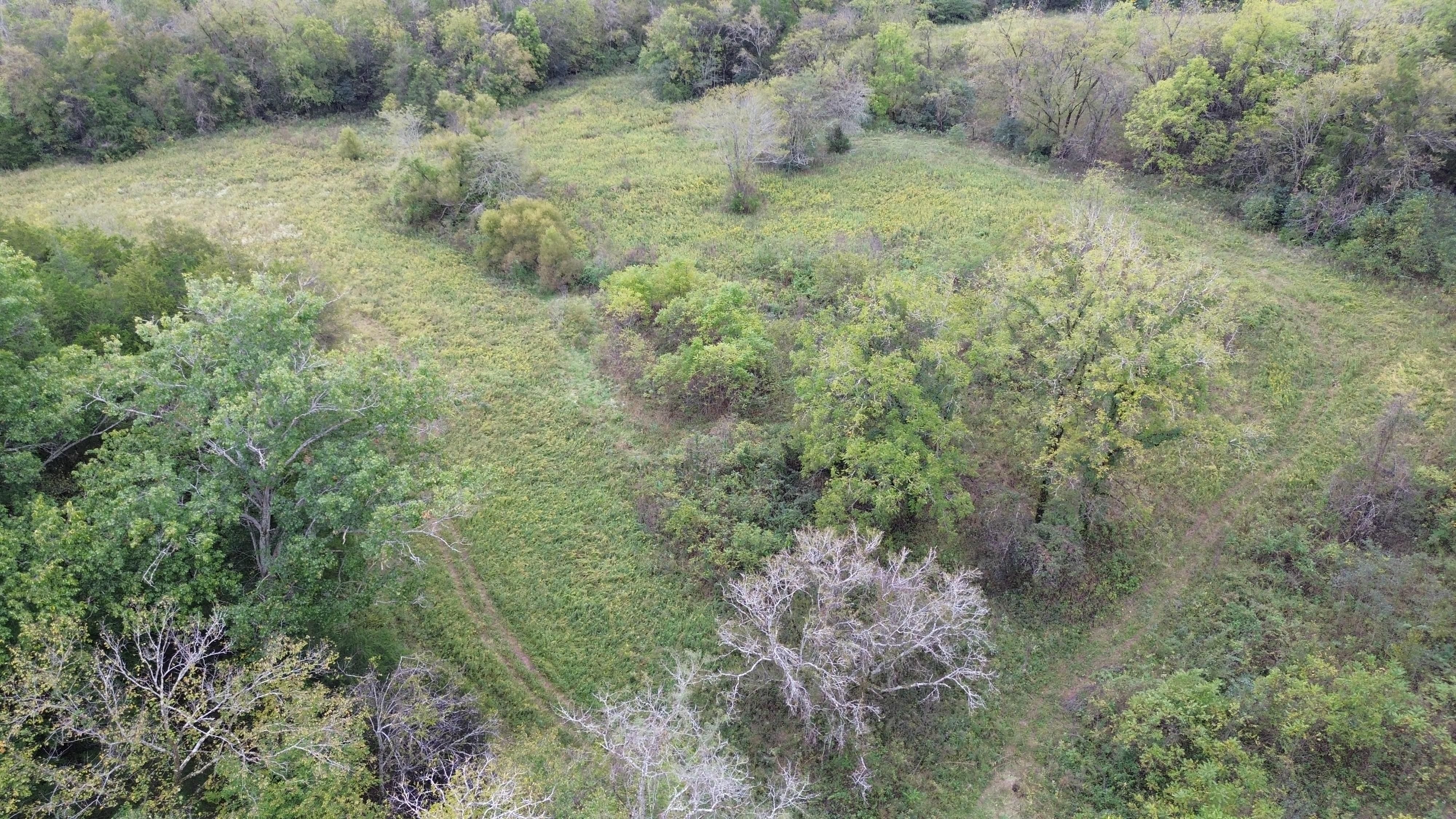 Massey Hollow Road, Kelso, TN 37348 MLS 2706971