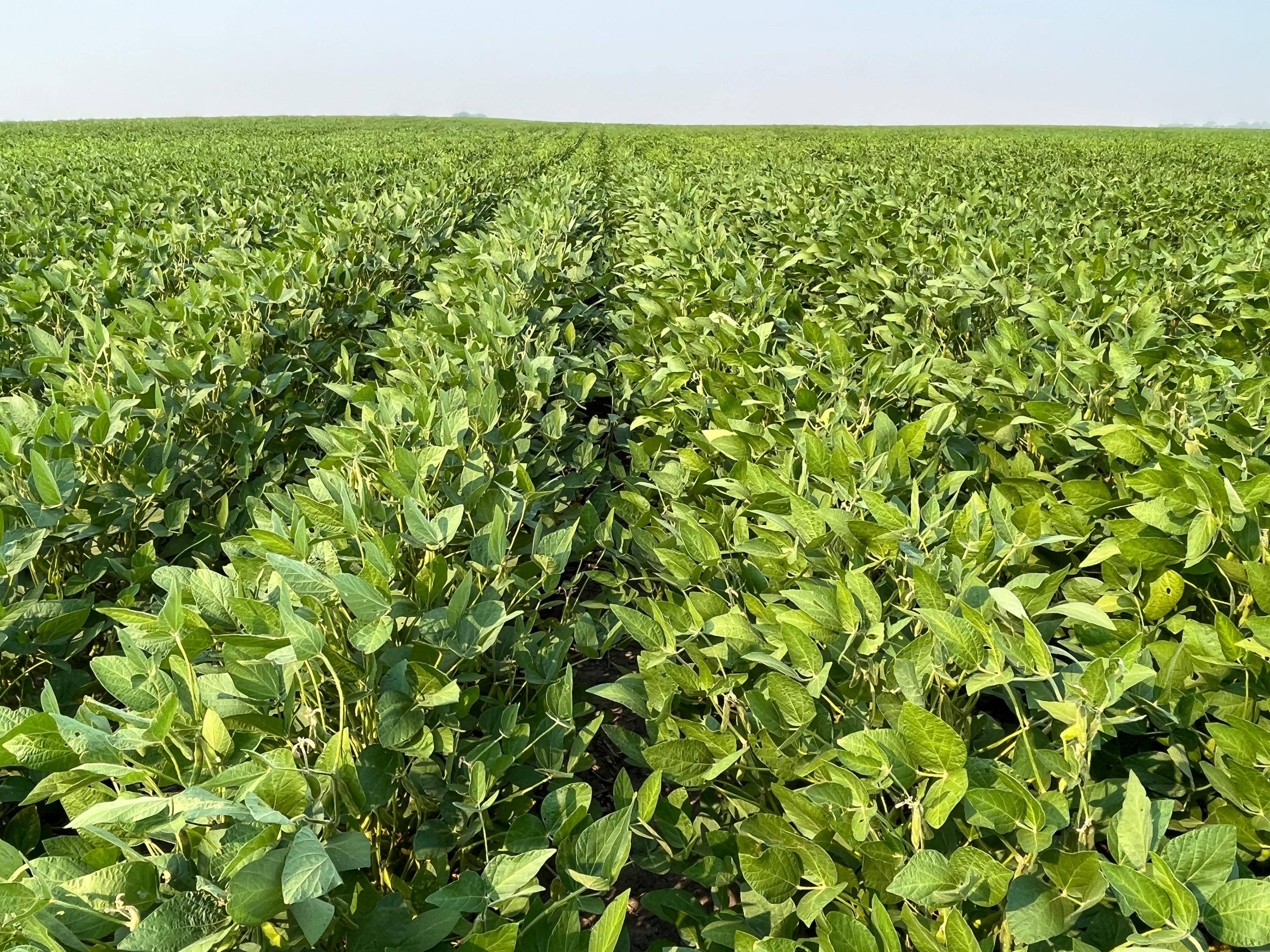 80 acres in Selz, ND, 58341