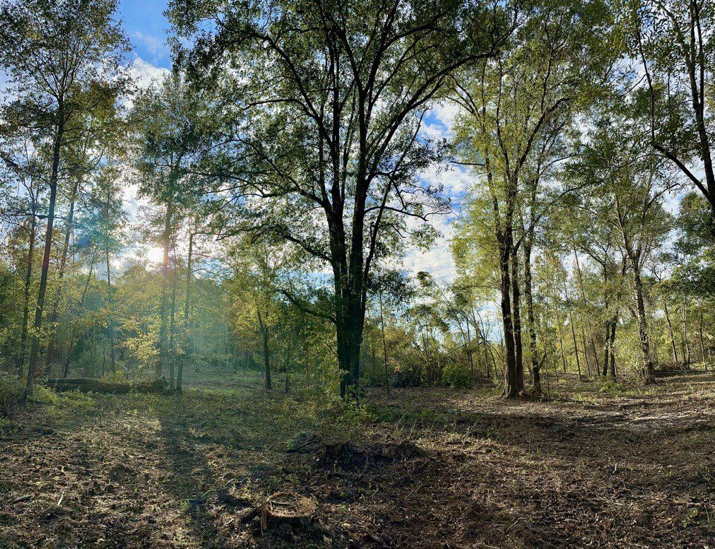 0 Scotland Towns Rd., McRae, GA 31055 MLS 11349628