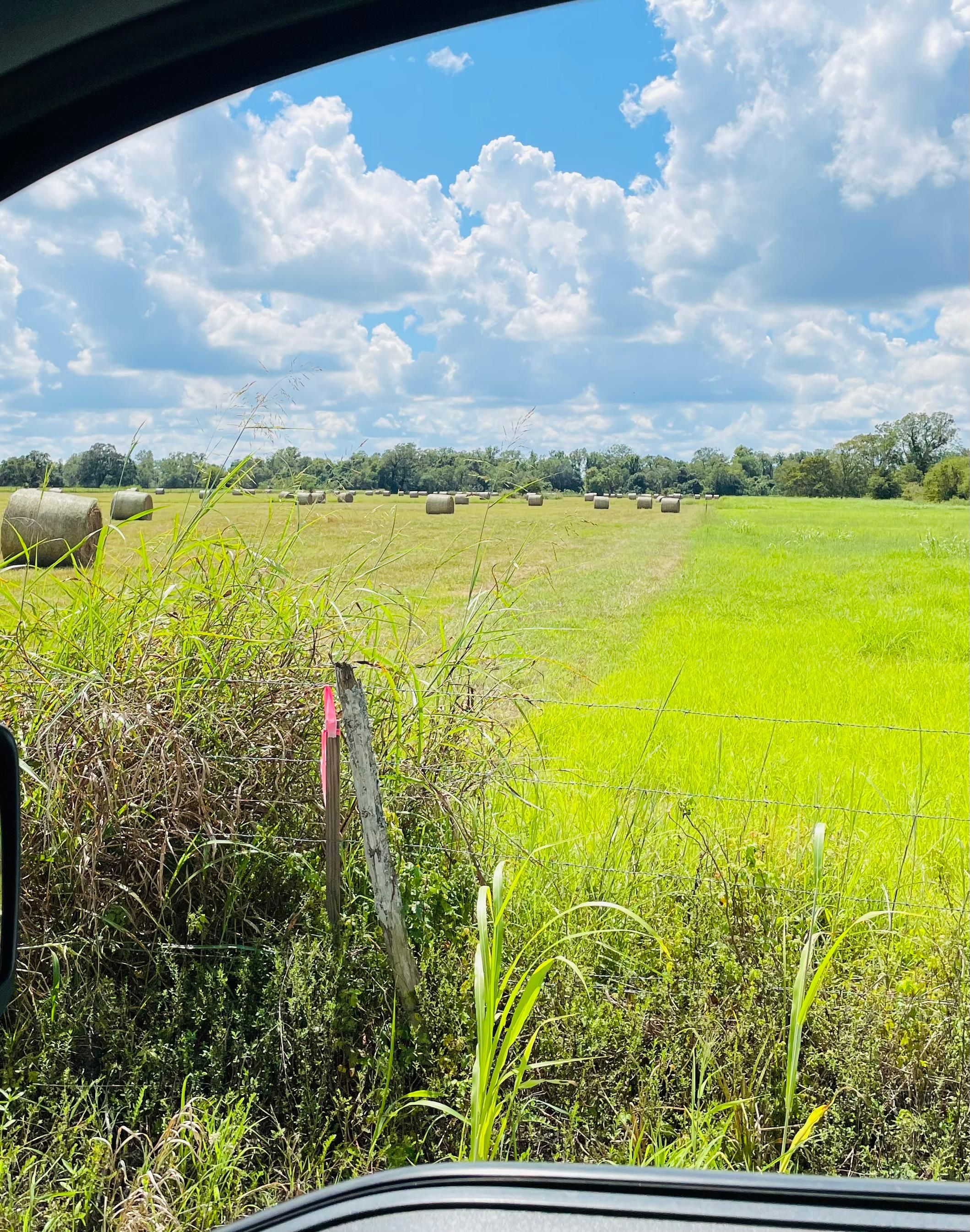 22.03 acres in Boling, TX, 77420