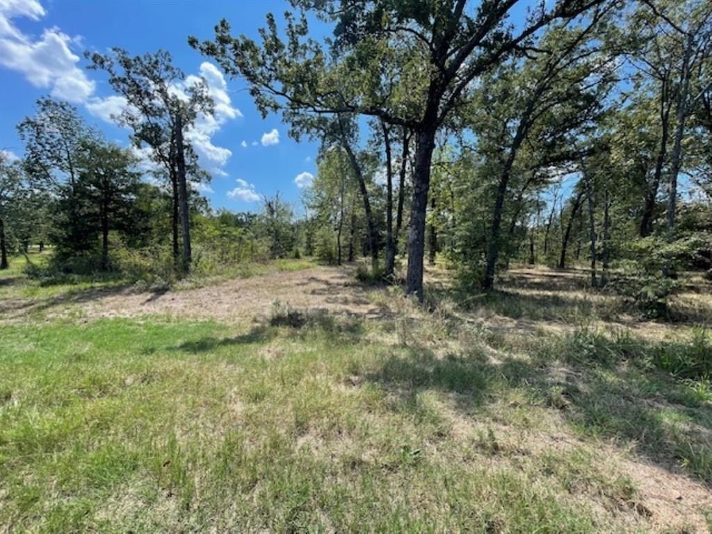 4778 E US HWY 69, Alba, TX 75410 MLS 20747038