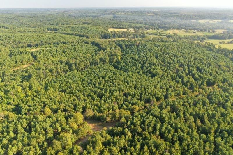 92 acres in Linden, TX, 75563 MLS 7387 Iron Ore Lake Tract 5