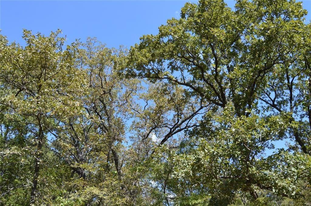 904 Hillburn Drive, West Tawakoni, TX 75474 MLS 20747983