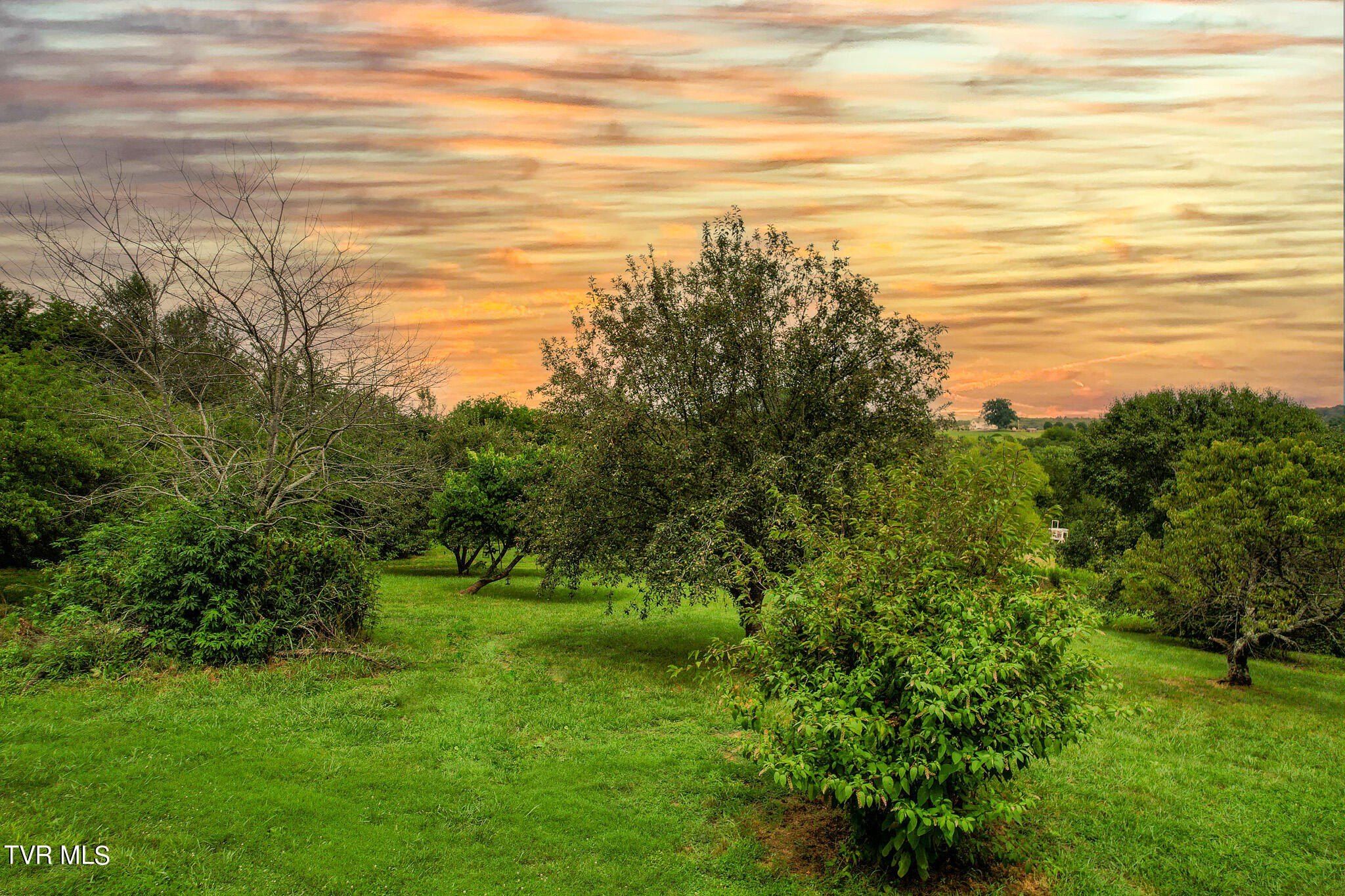 1870 Old Newport Hwy Highway, Greeneville, TN 37743 MLS 9972075