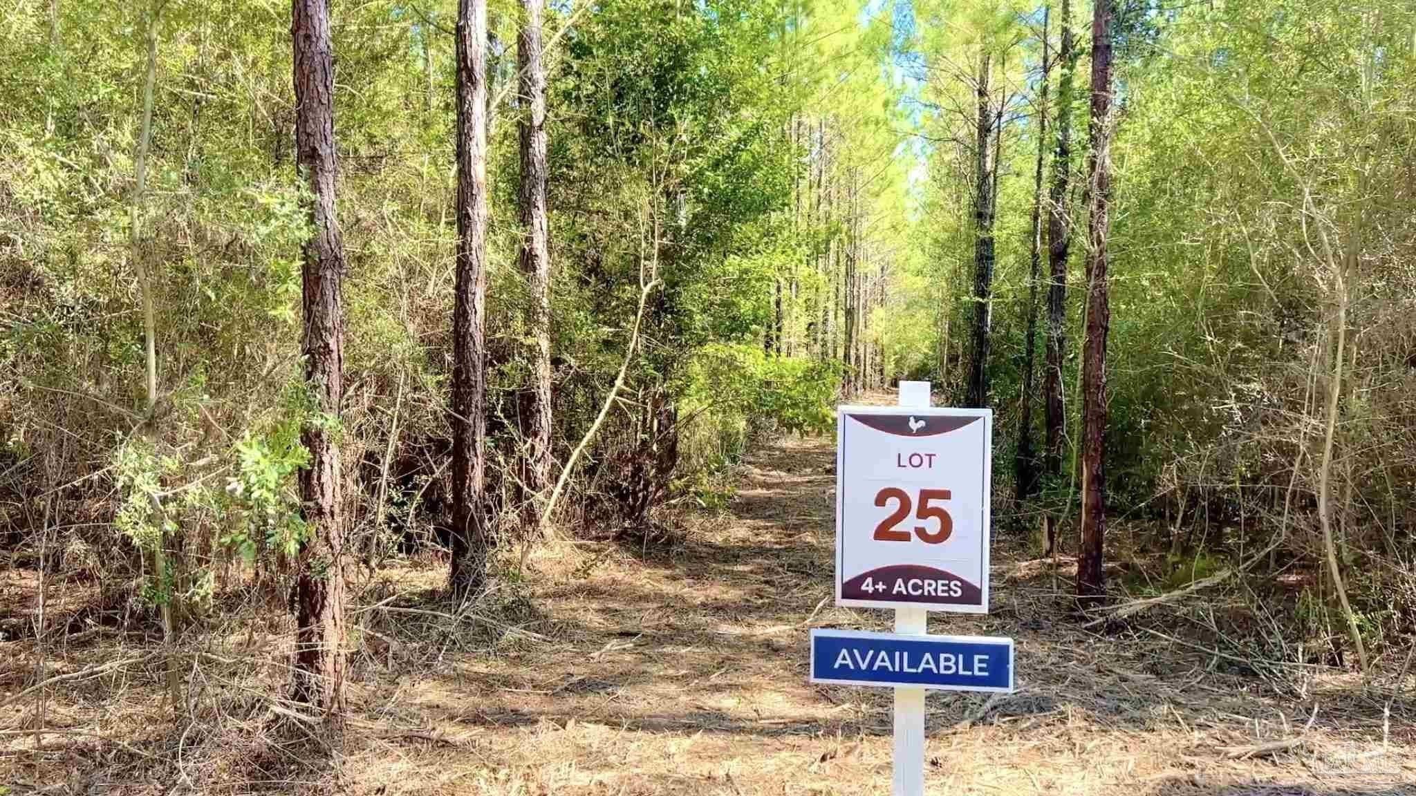 Lot 25 Hwy 89, Jay, FL 32565 MLS 653730
