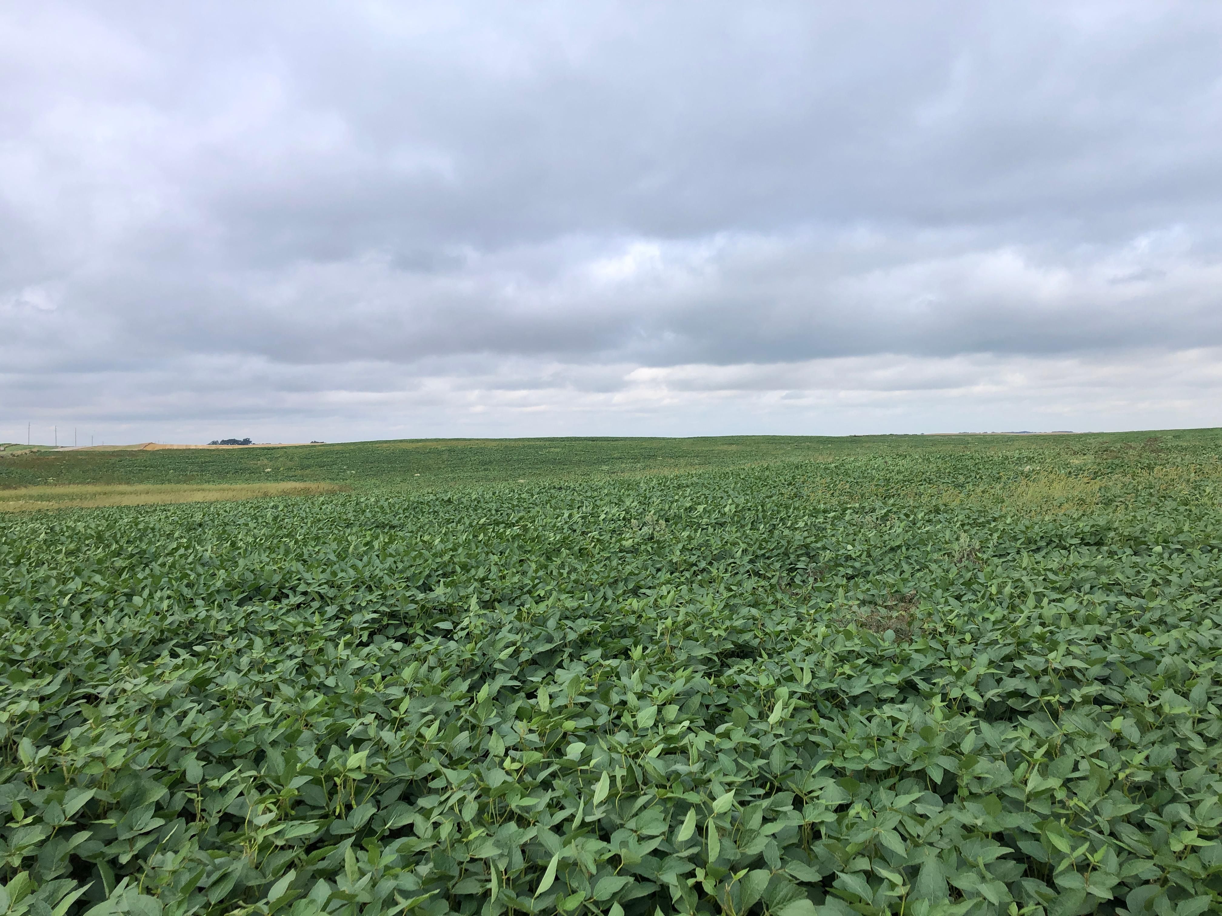 256.37 acres in Hurdsfield, ND, 58451