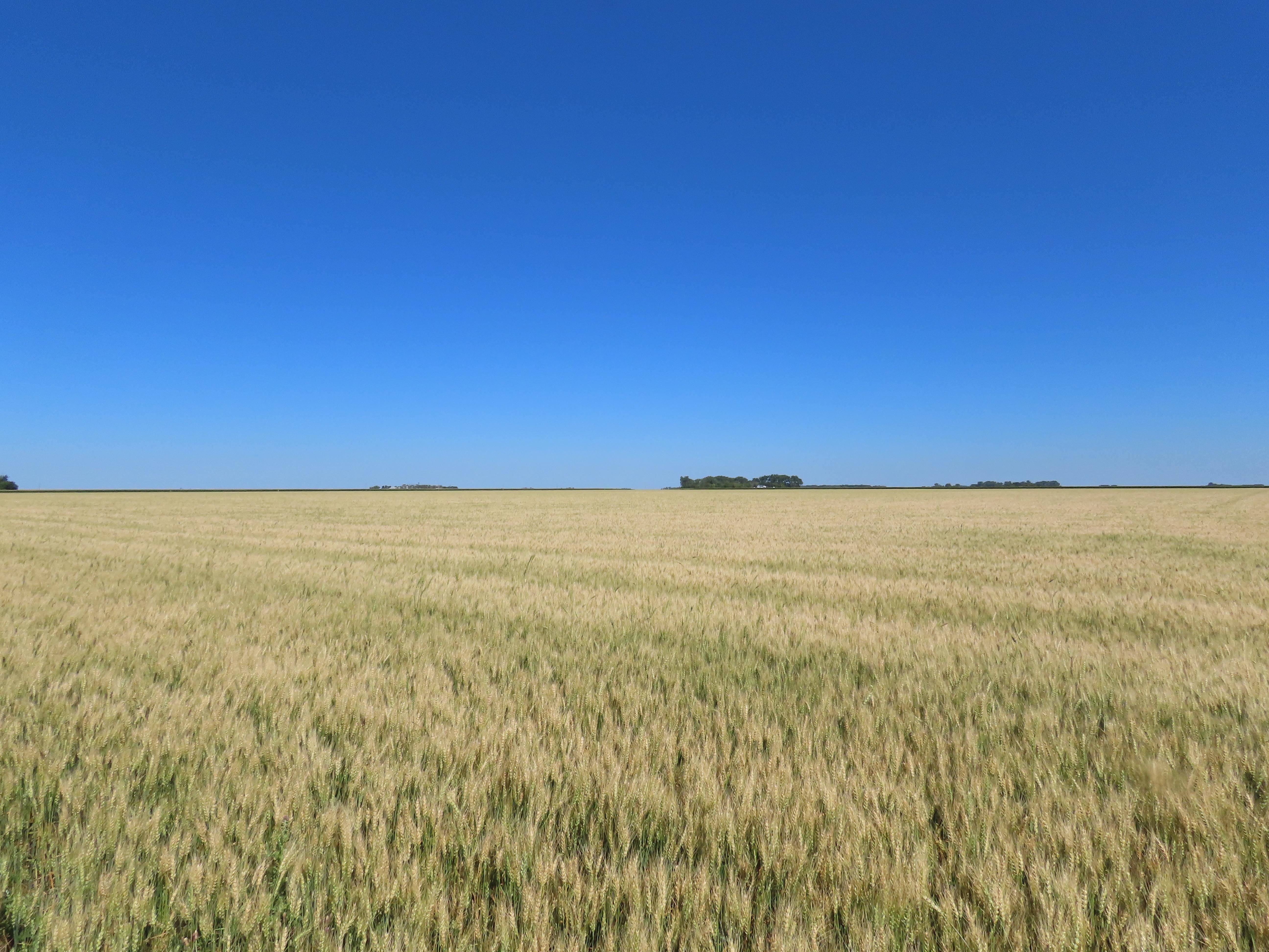449.62 acres in Dilworth, MN, 56529