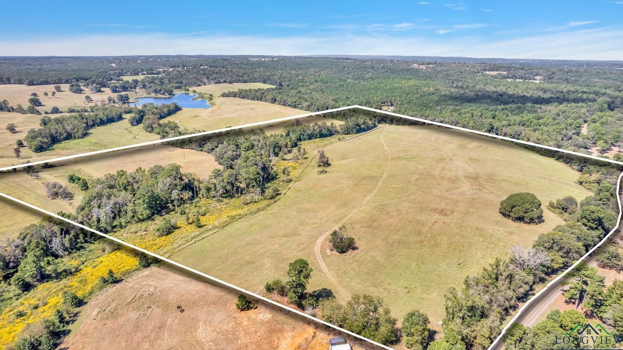 FM 19, Palestine, TX 75803 MLS 20246378