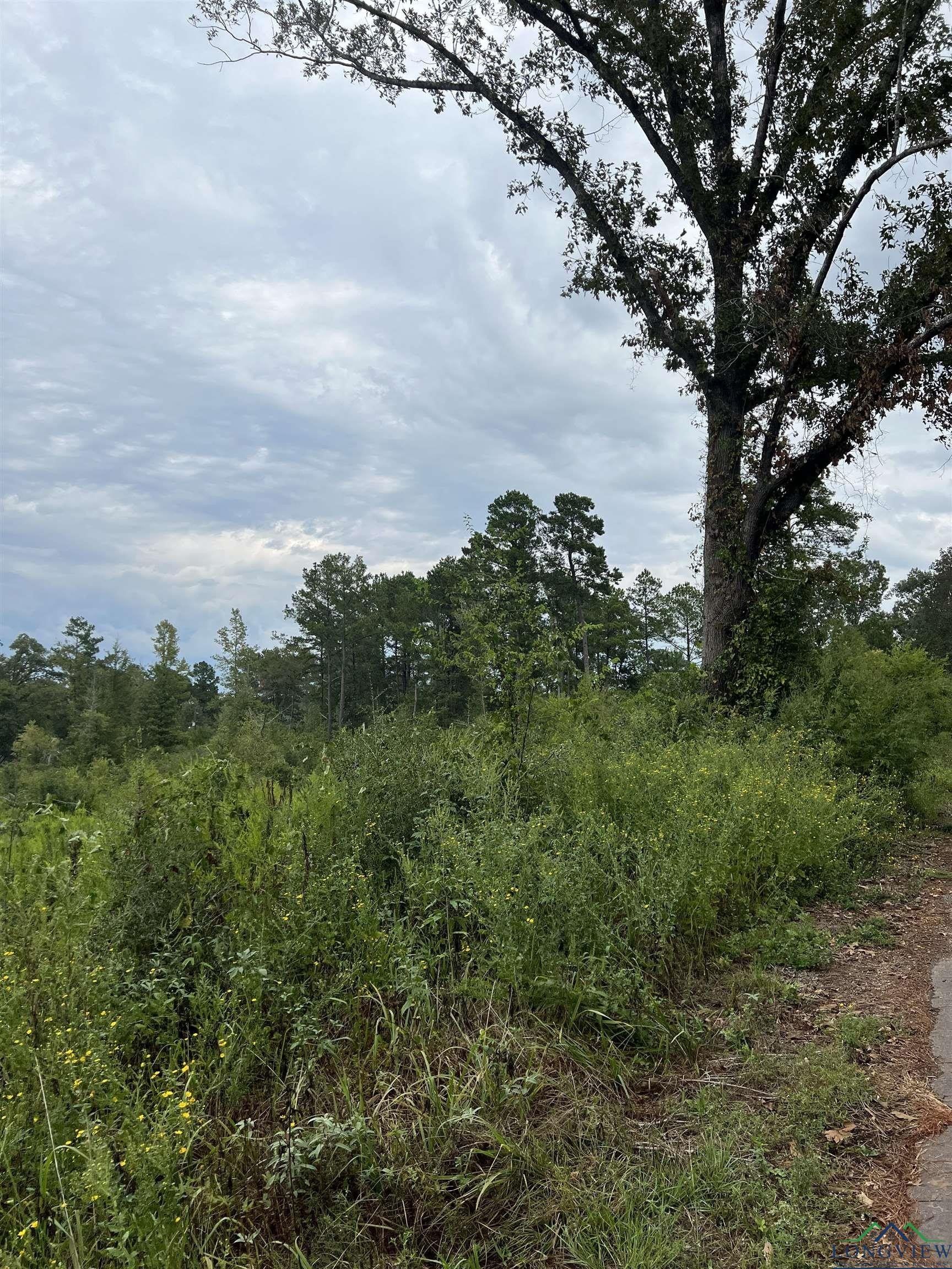 Tbd Lassater Rd, Jefferson, TX 75657 MLS 20246462