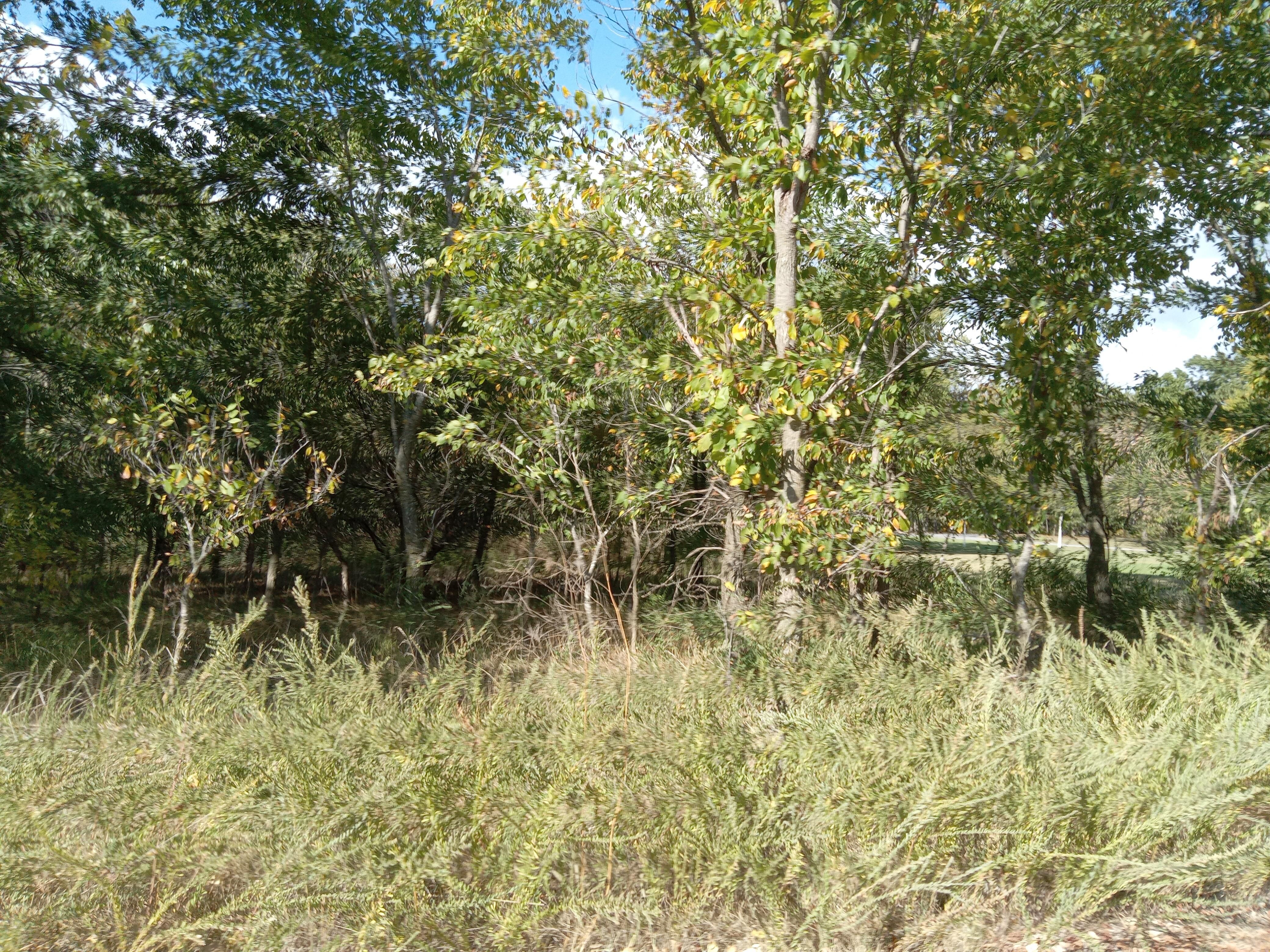 PURPLE SAGE DRIVE, Jay, OK 74346 MLS 2431751