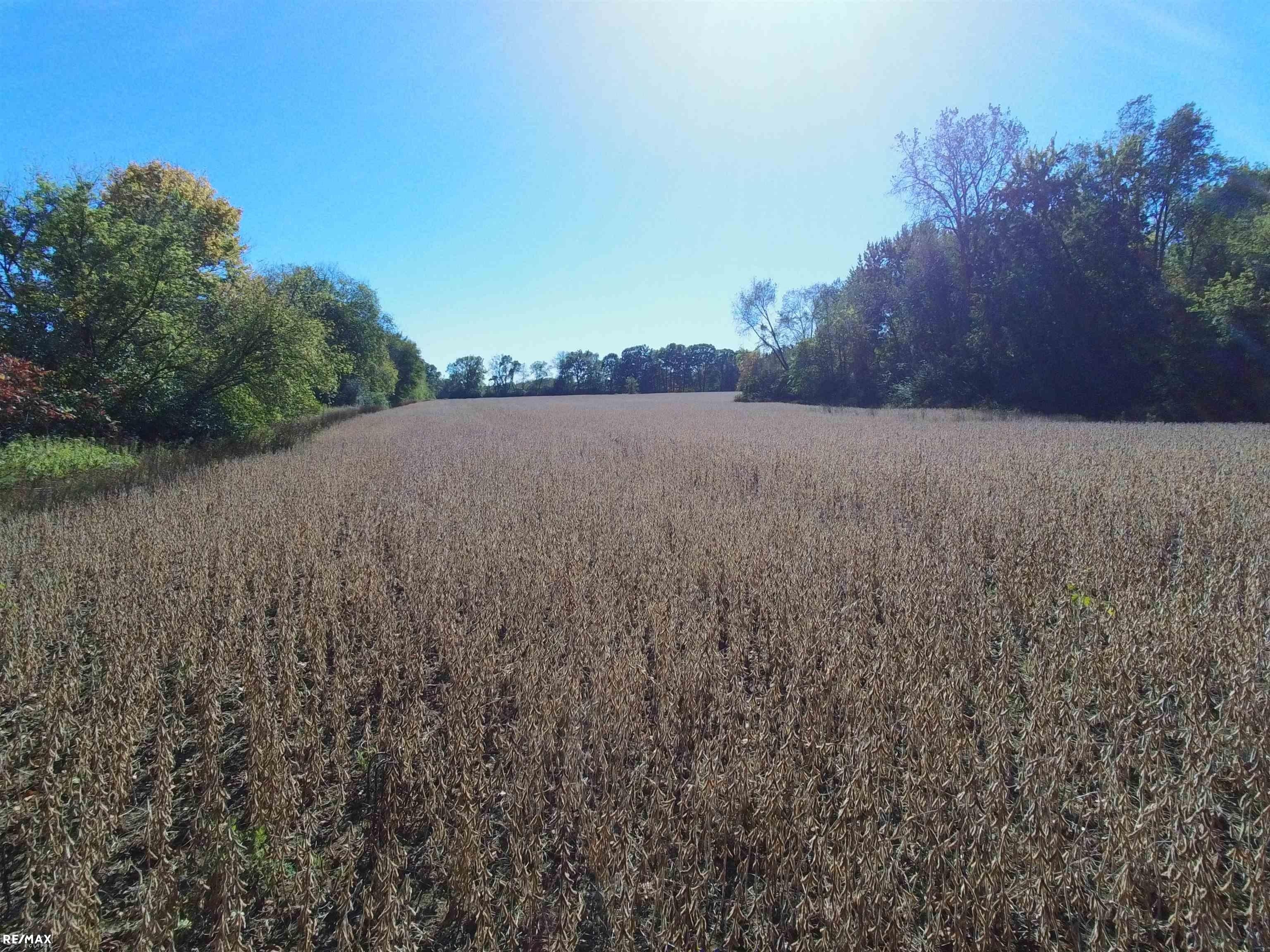 73763 Coon Creek, Armada, MI 48005 MLS 50158779