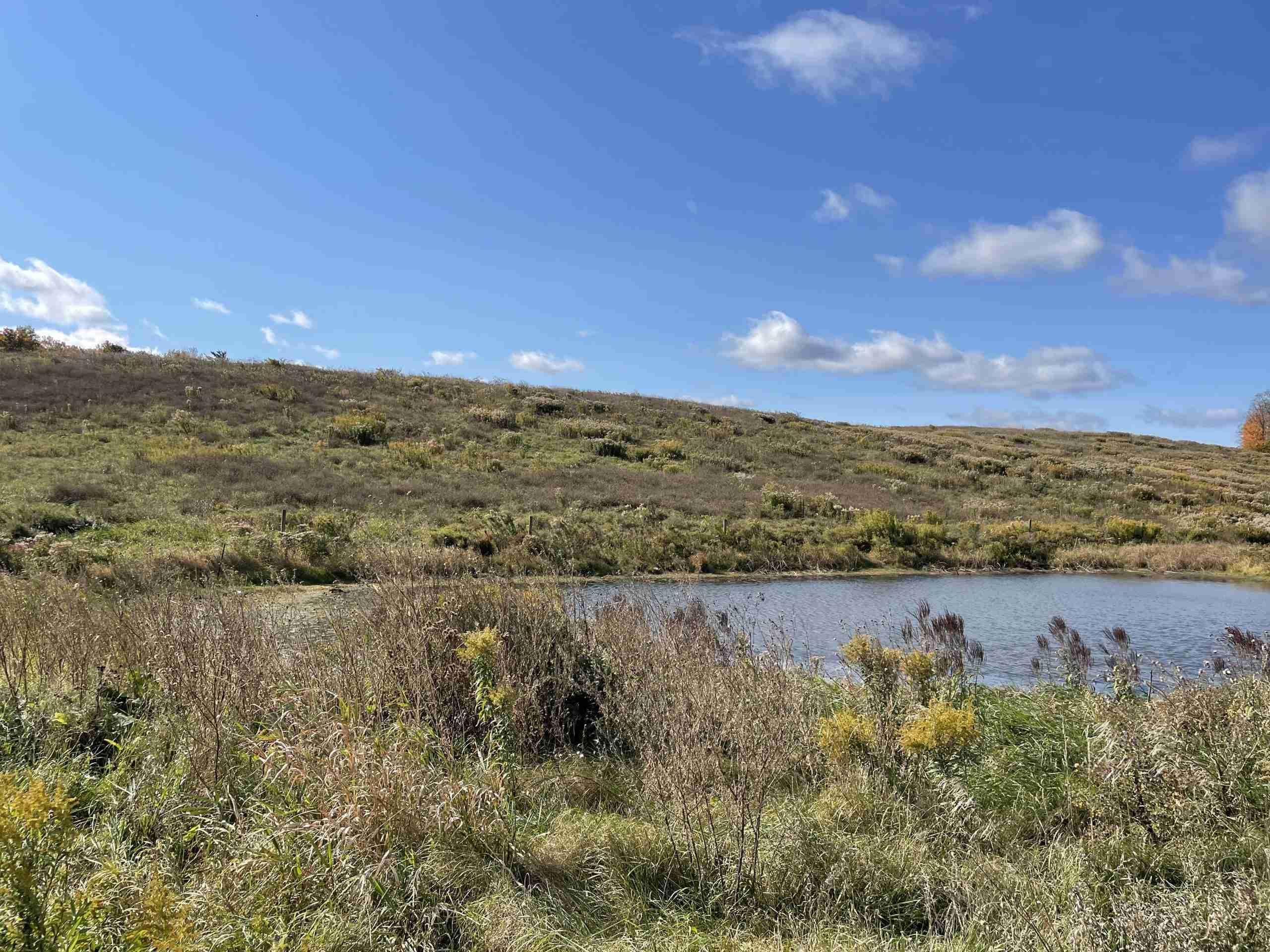 2090 U.S. 20, Cobleskill, NY 12043