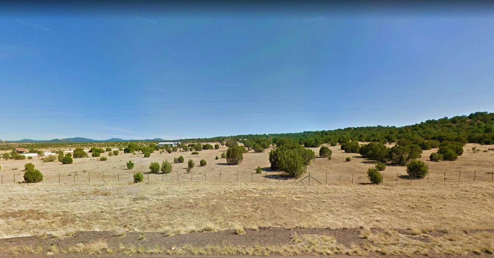 8578 Turkey Drive, Show Low, AZ 85901