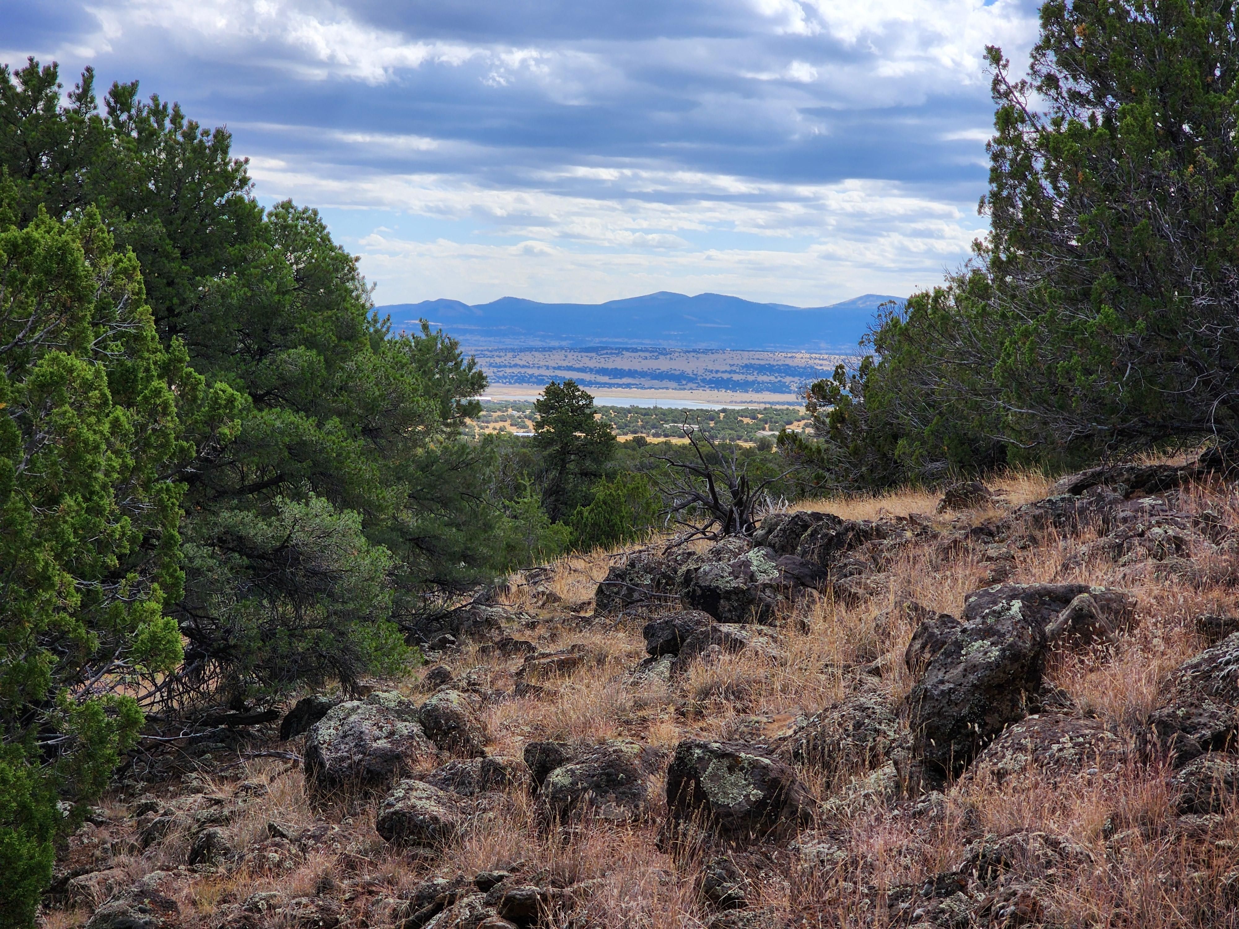 2.54 acres in Concho, AZ, 85924