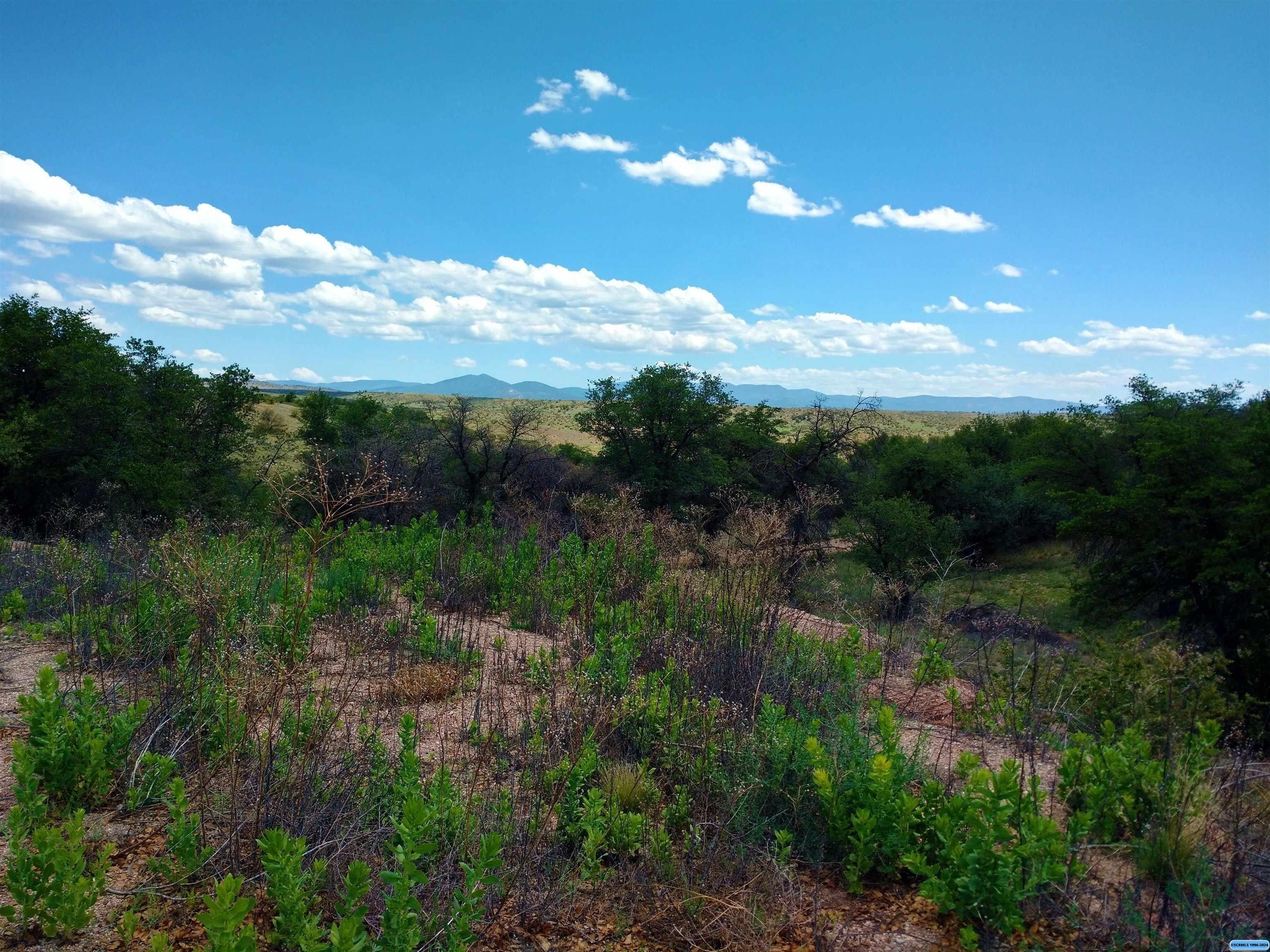 44 Old Ranch Road, Silver City, NM 88061 MLS 40672