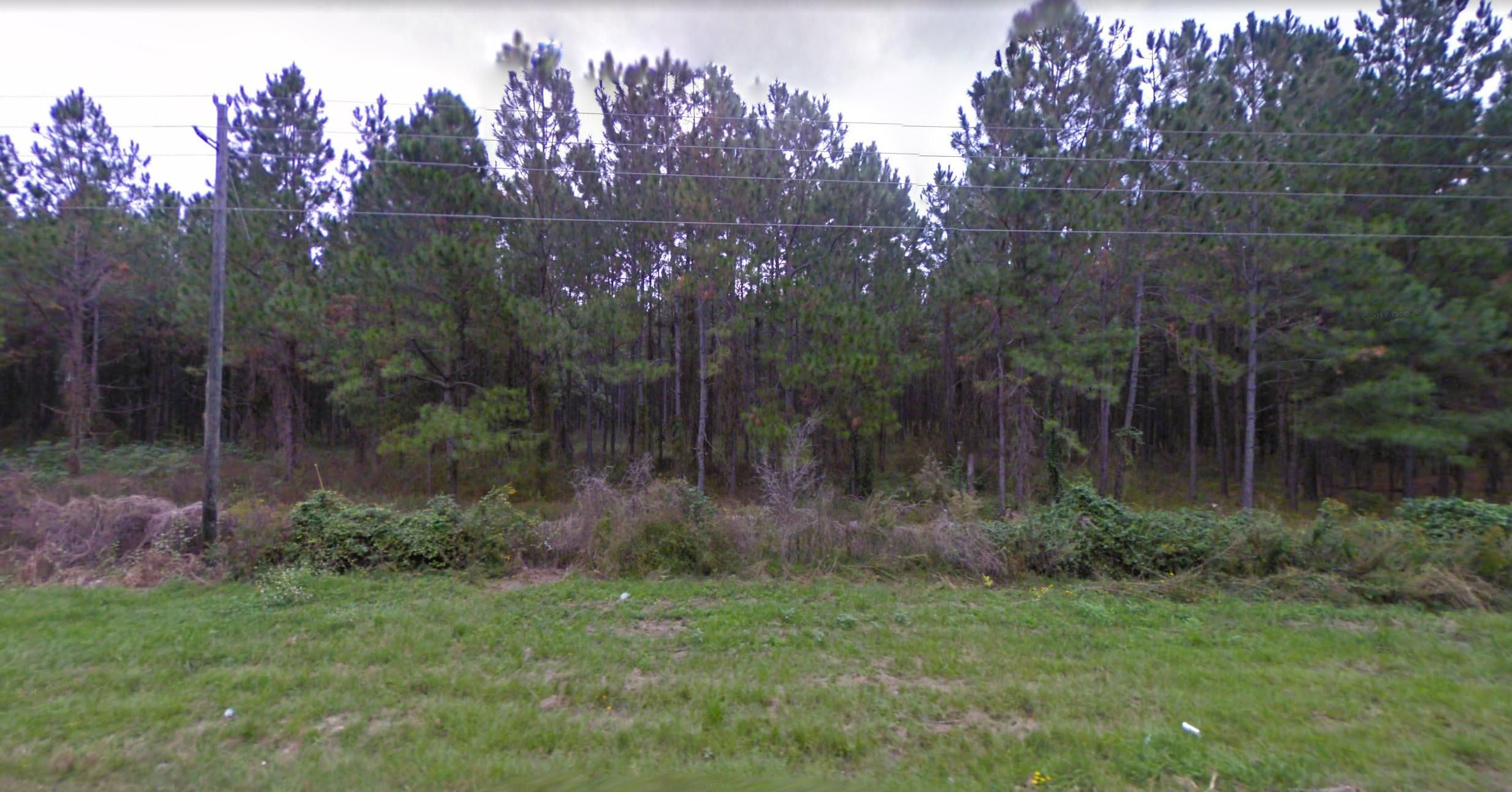 LIVE OAK FLORIDA FL 32060 32064 PROFILE POPULATION MAPS REAL visual data 6