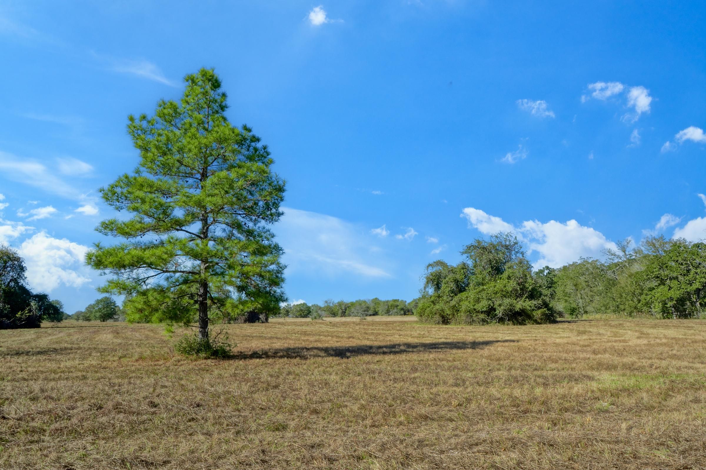 County Rd 229, Bedias, TX 77831 | MLS: Lot 9 County Rd 229, Bedias ...