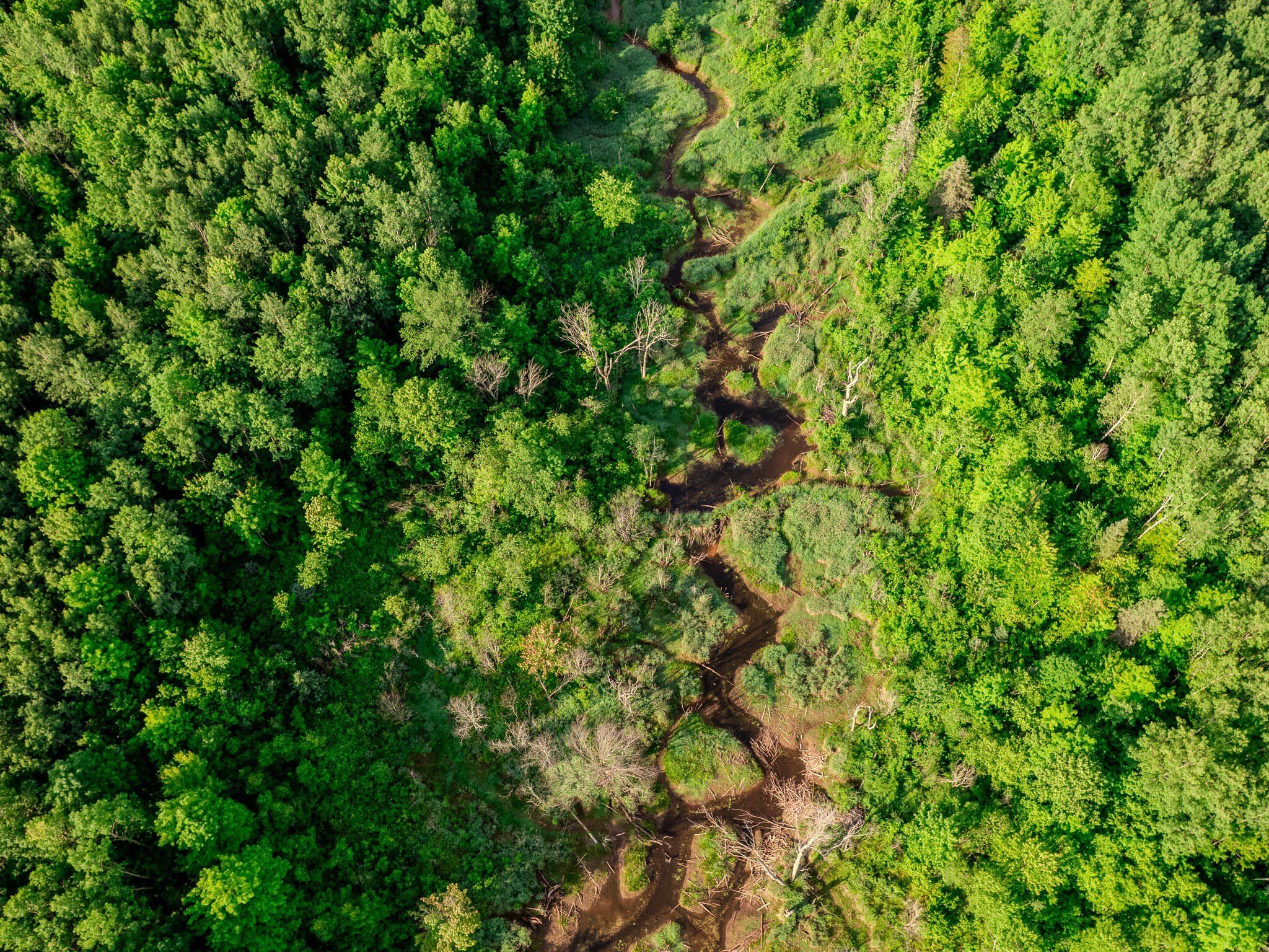 30659 Townline Road Ontonagon - 1 5609334603