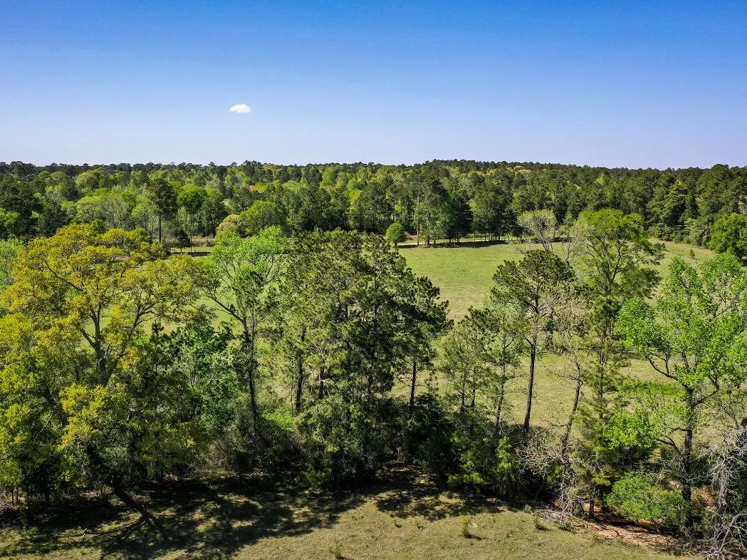 Land for Sale in Walker County, Texas 214 Properties