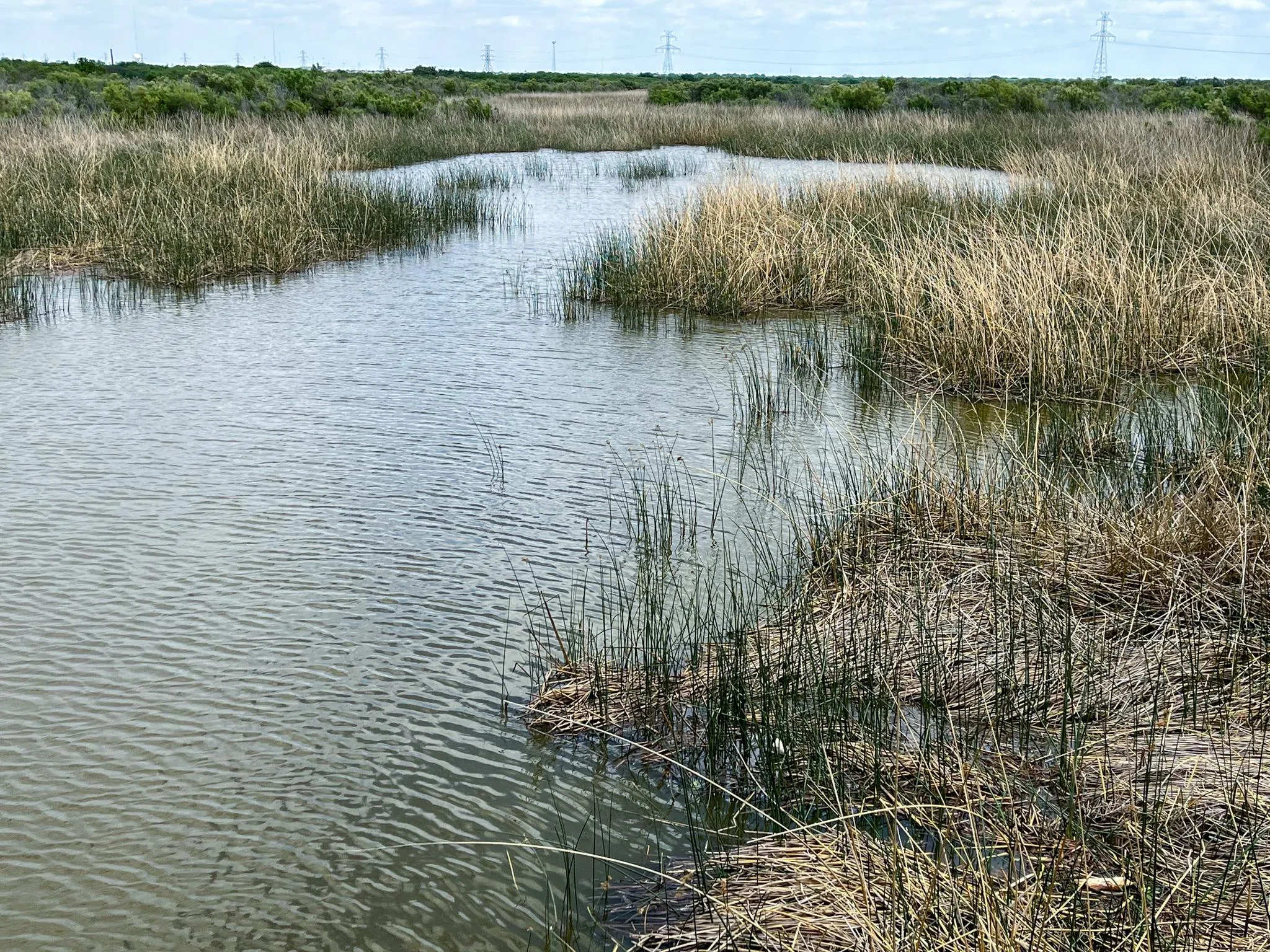 Land for Sale in Archer County, Texas 29 Properties