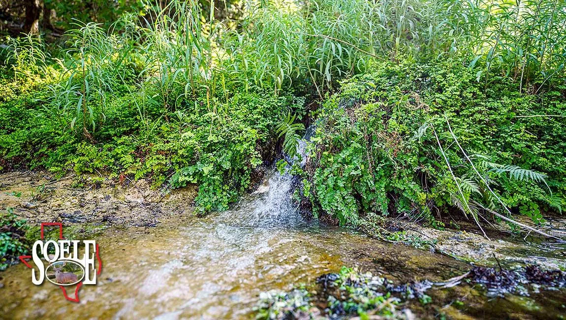 Ranches for Sale in San Antonio Texas Region 193 Properties