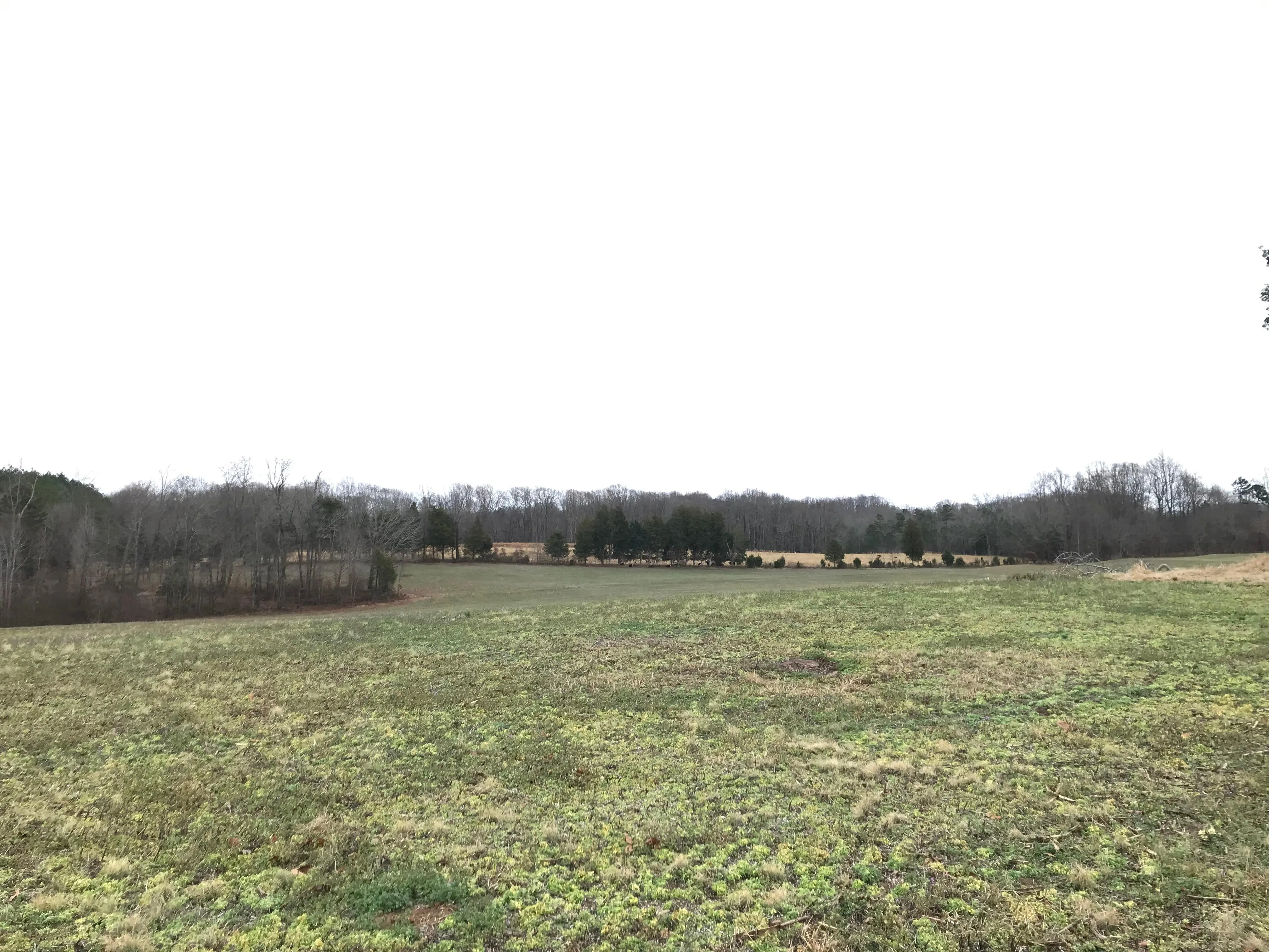 Land for Sale in Iredell County, North Carolina 670 Properties