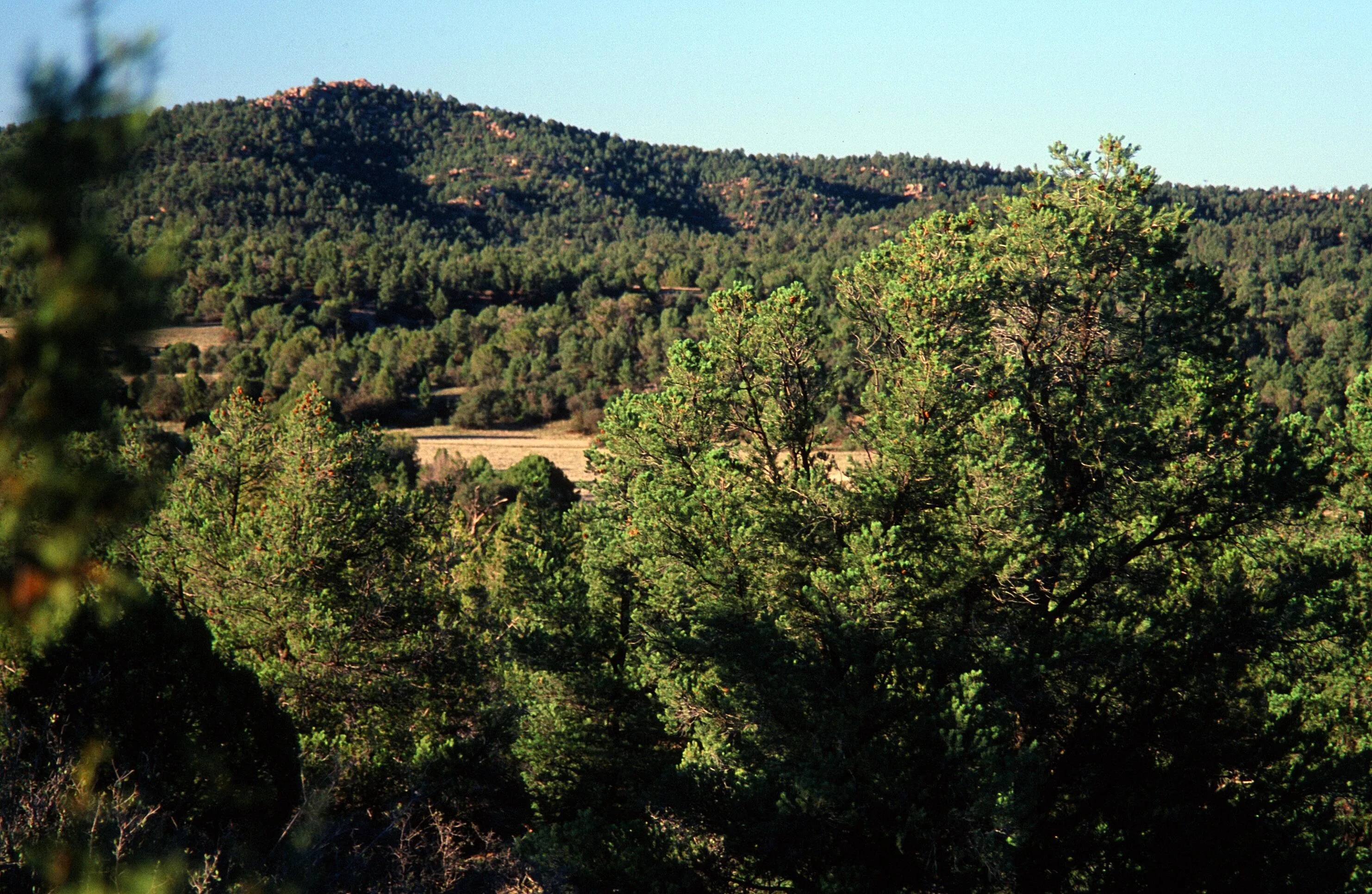 Land for Sale in Seligman, Arizona 304 Properties