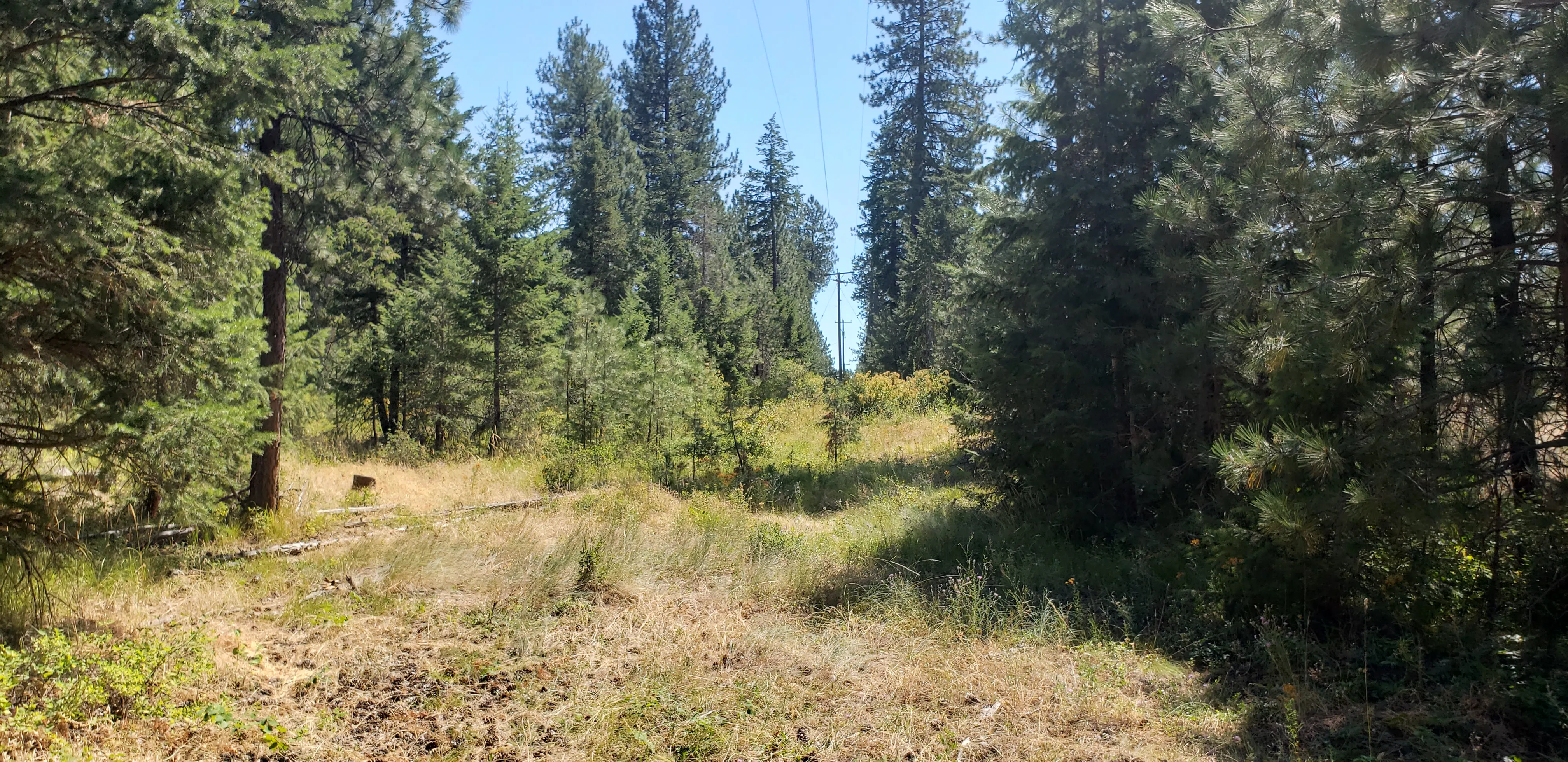 Land for Sale in Stevens County, Washington 385 Properties