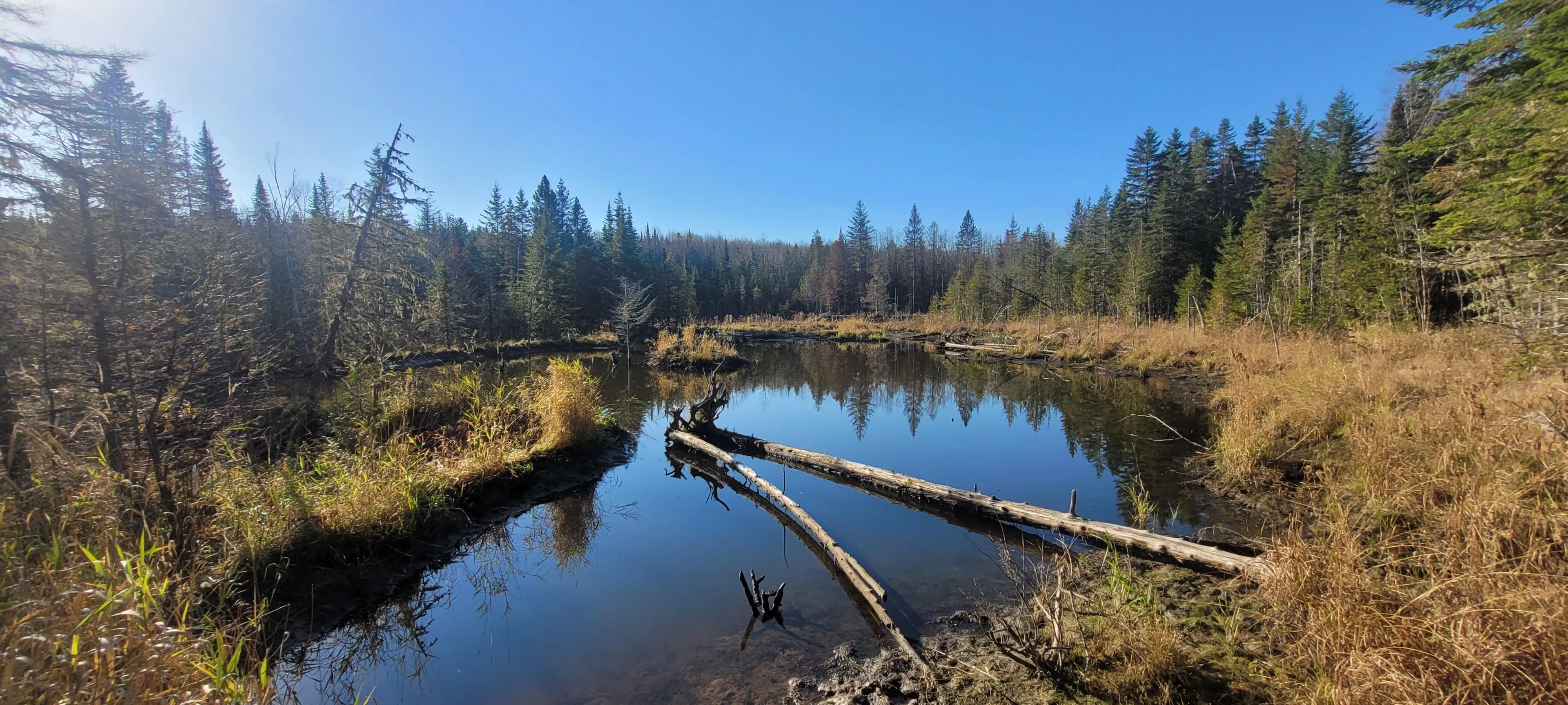 Land for Sale in Aroostook County, Maine 383 Properties