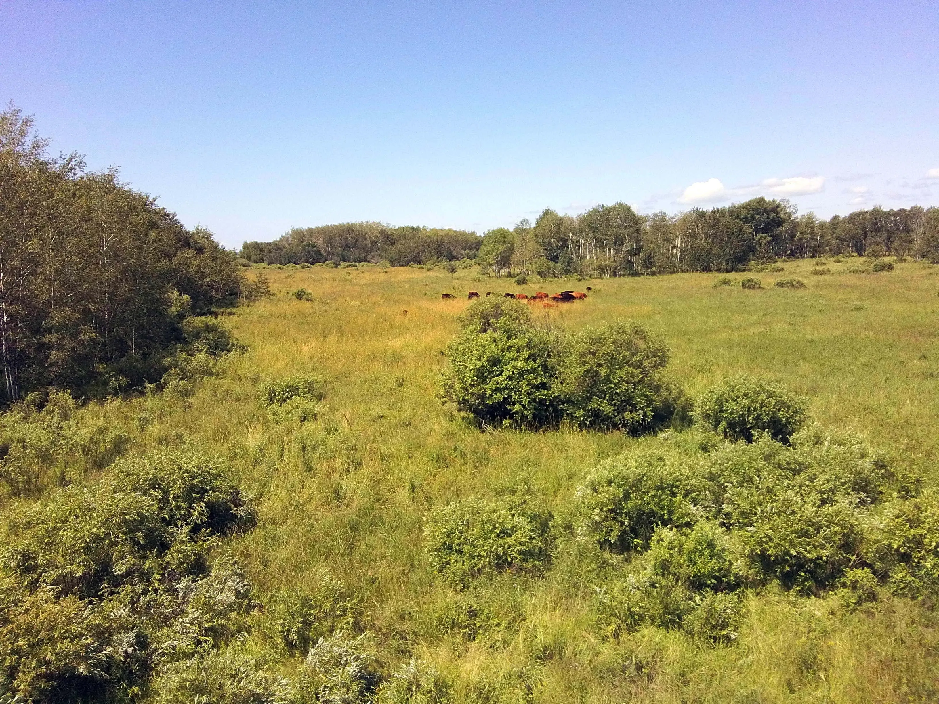 Land for Sale in Minnesota - 7,041 Properties - Land.com