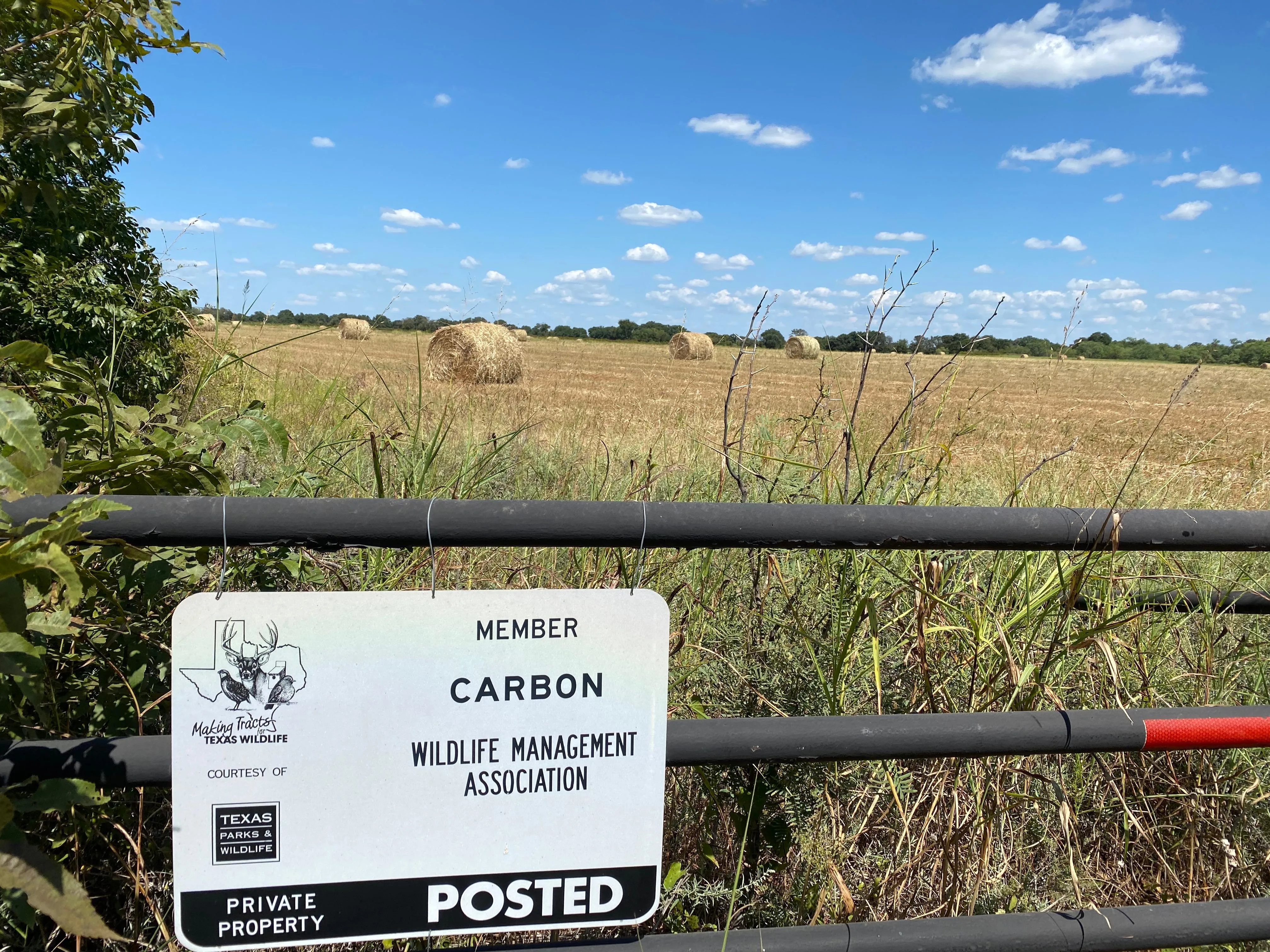 Land for Sale in Eastland County, Texas over 200 Acres 16 Properties