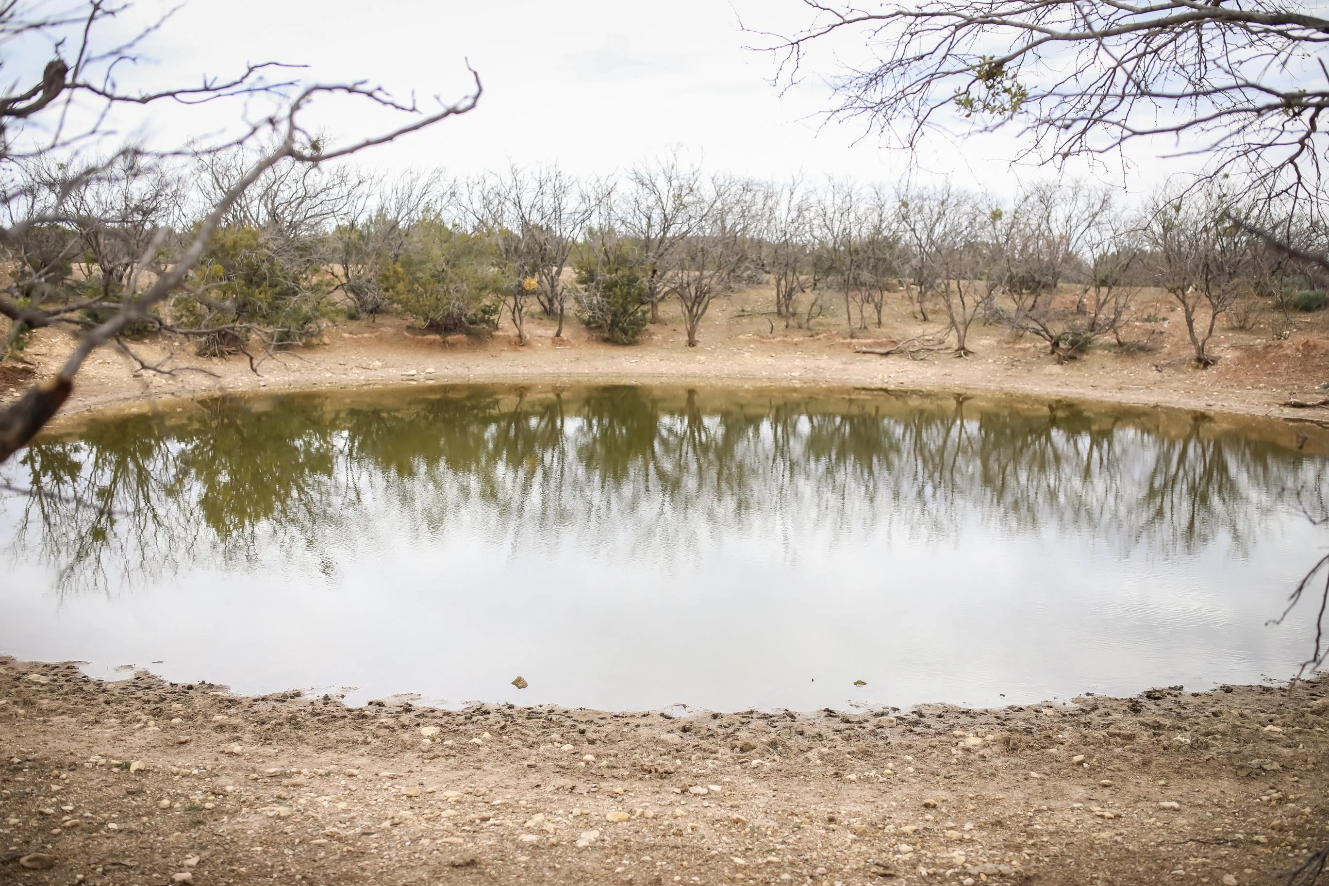 Land for Sale in Tom Green County, Texas over 20 Acres 38 Properties