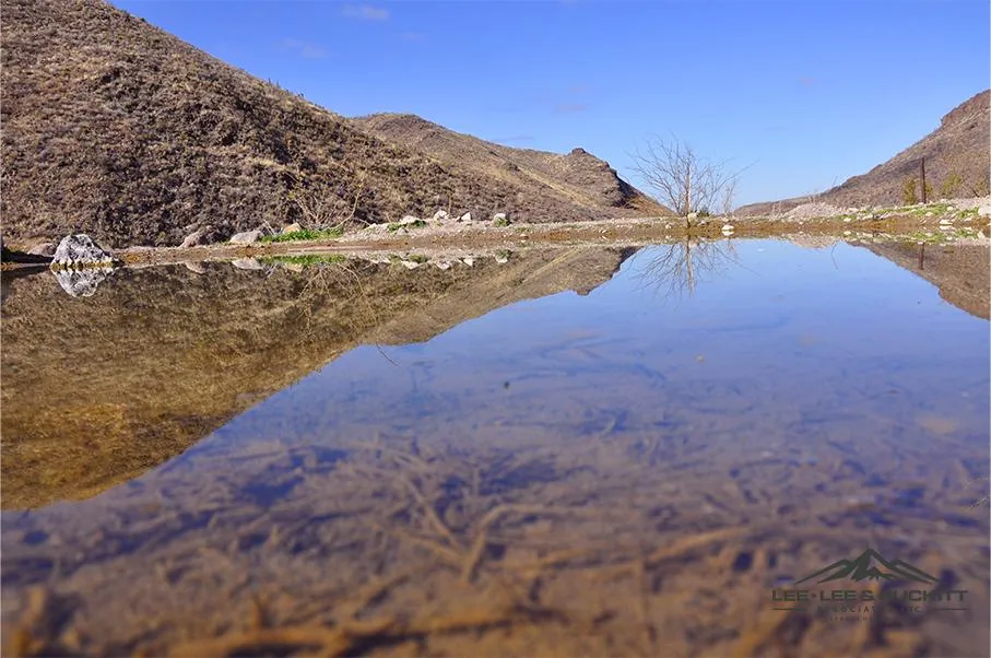 Land for Sale in Presidio County, Texas 88 Properties