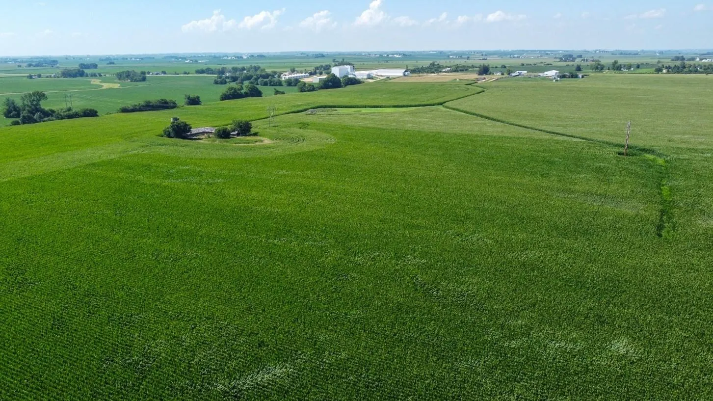 Properties of Josh Binneboese with Wendling Quarries, Inc in DeWitt, IA