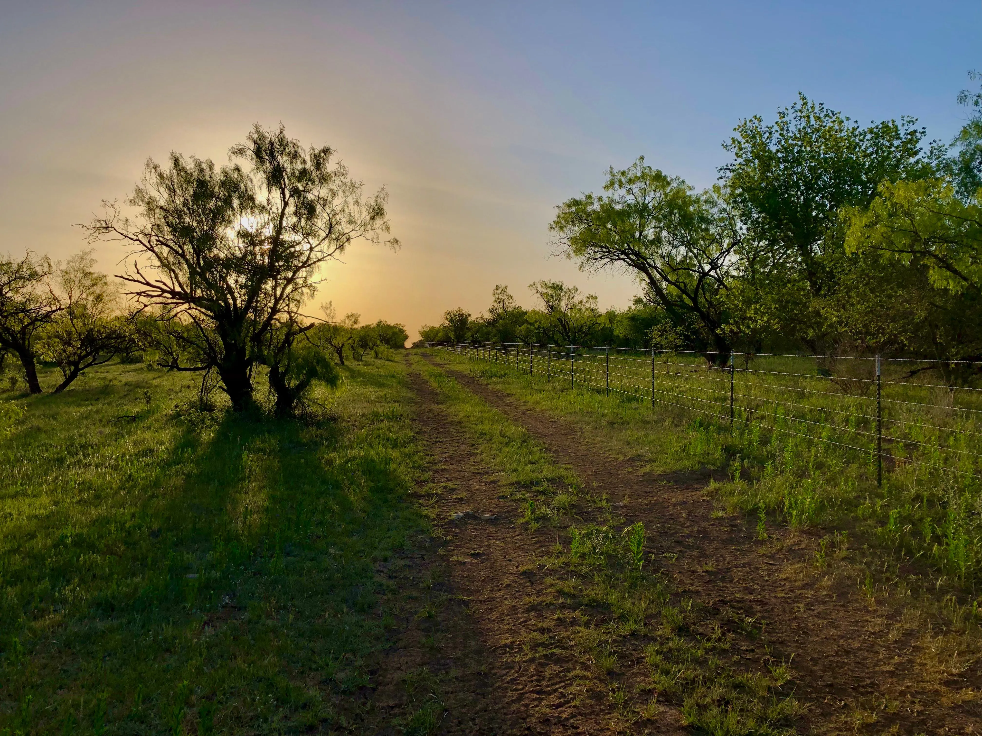 Land for Sale in Stephens County, Texas 88 Properties