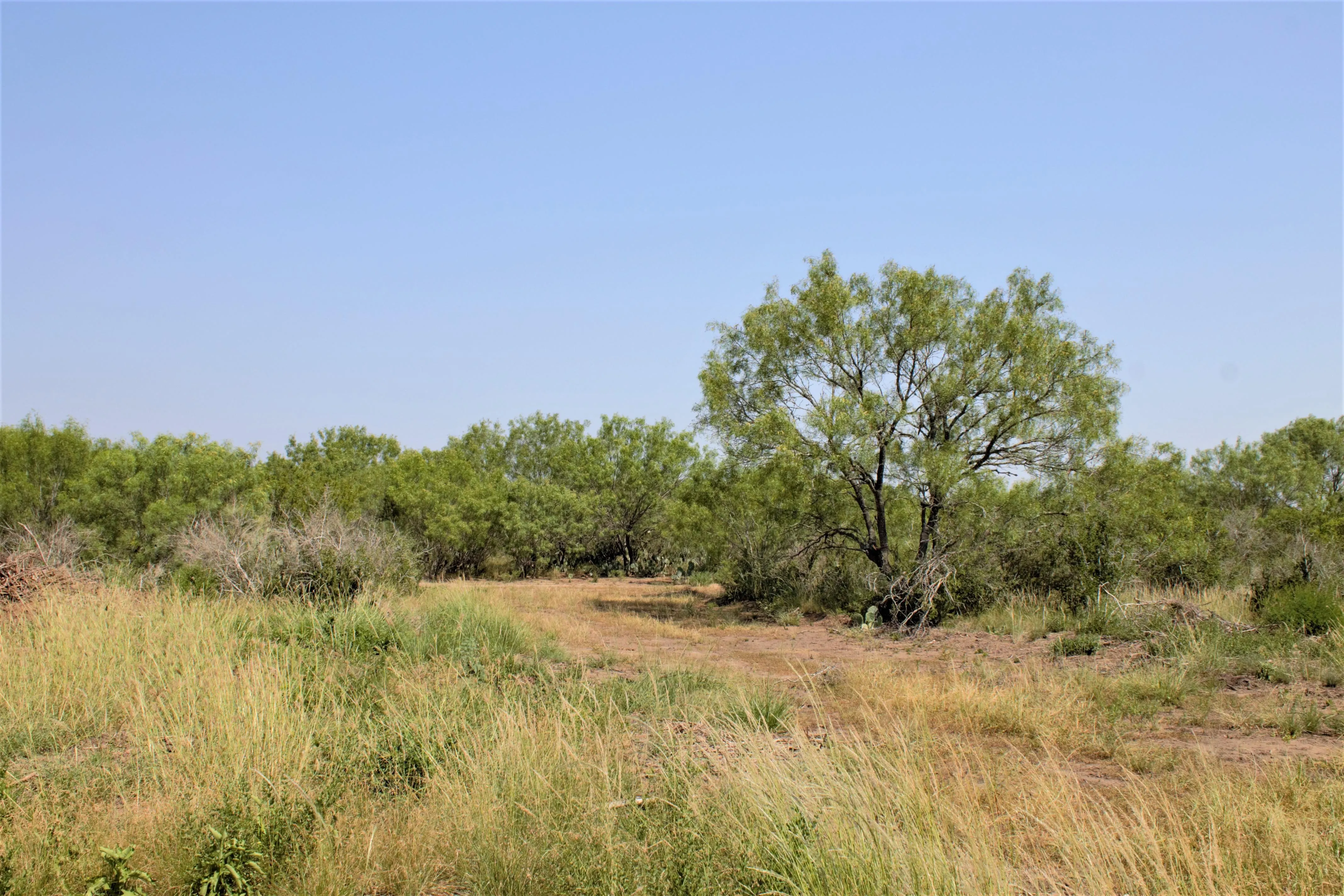 Land for Sale in Jourdanton, Texas 81 Properties