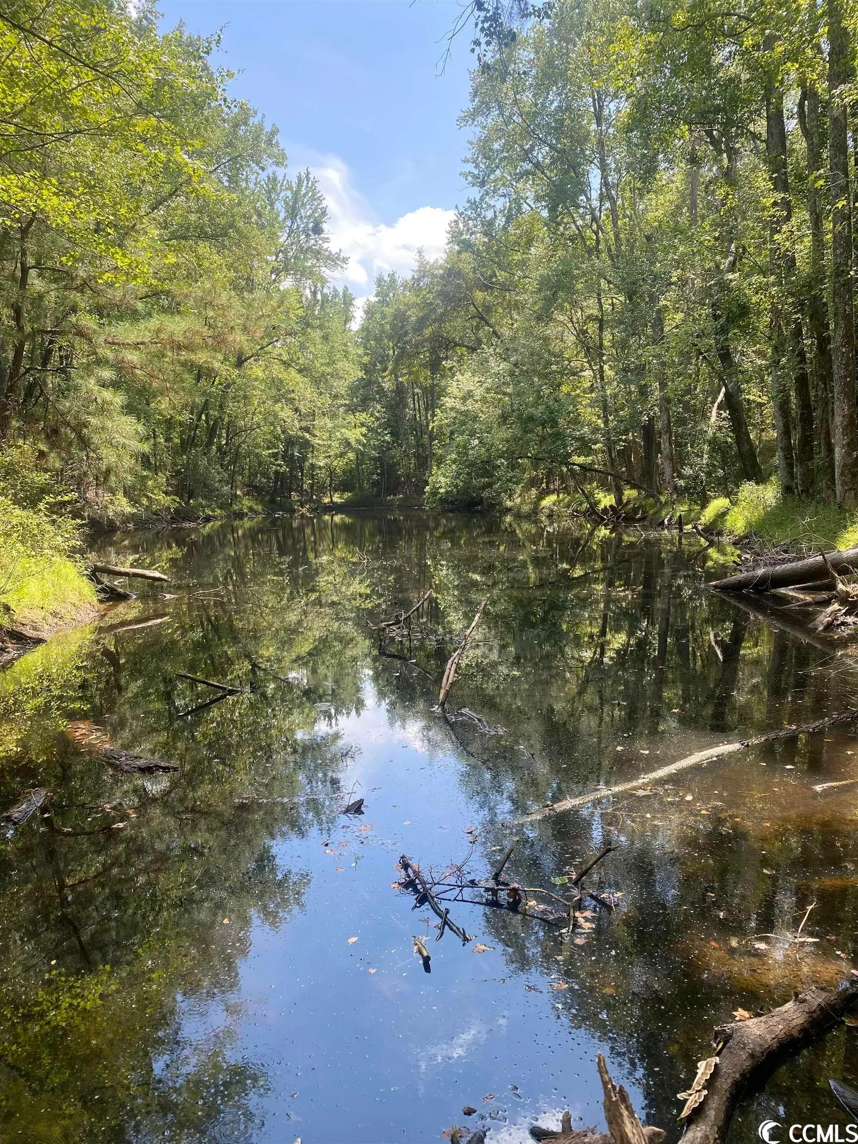 Land for Sale in Centenary, South Carolina 1 Properties