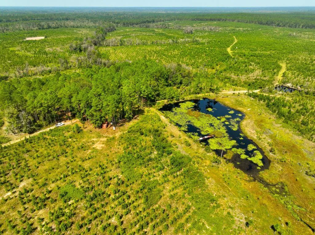 Land for Sale in Jeff Davis County, 26 Properties