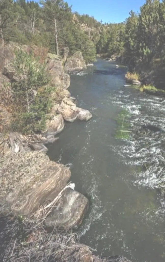 Riverfront Properties for Sale in Madison County, Montana 8