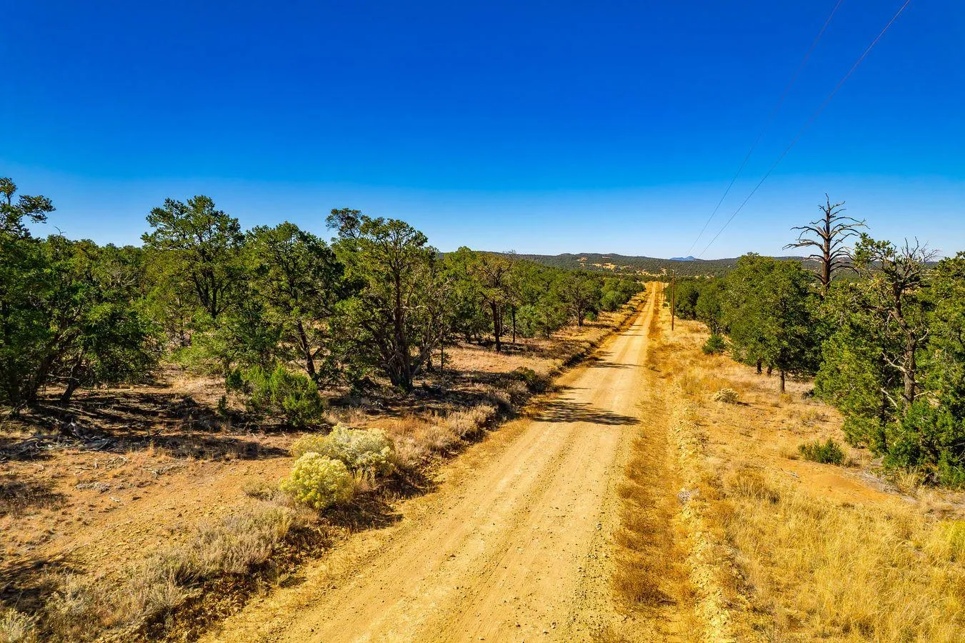 Land for Sale in Catron County, New Mexico 146 Properties