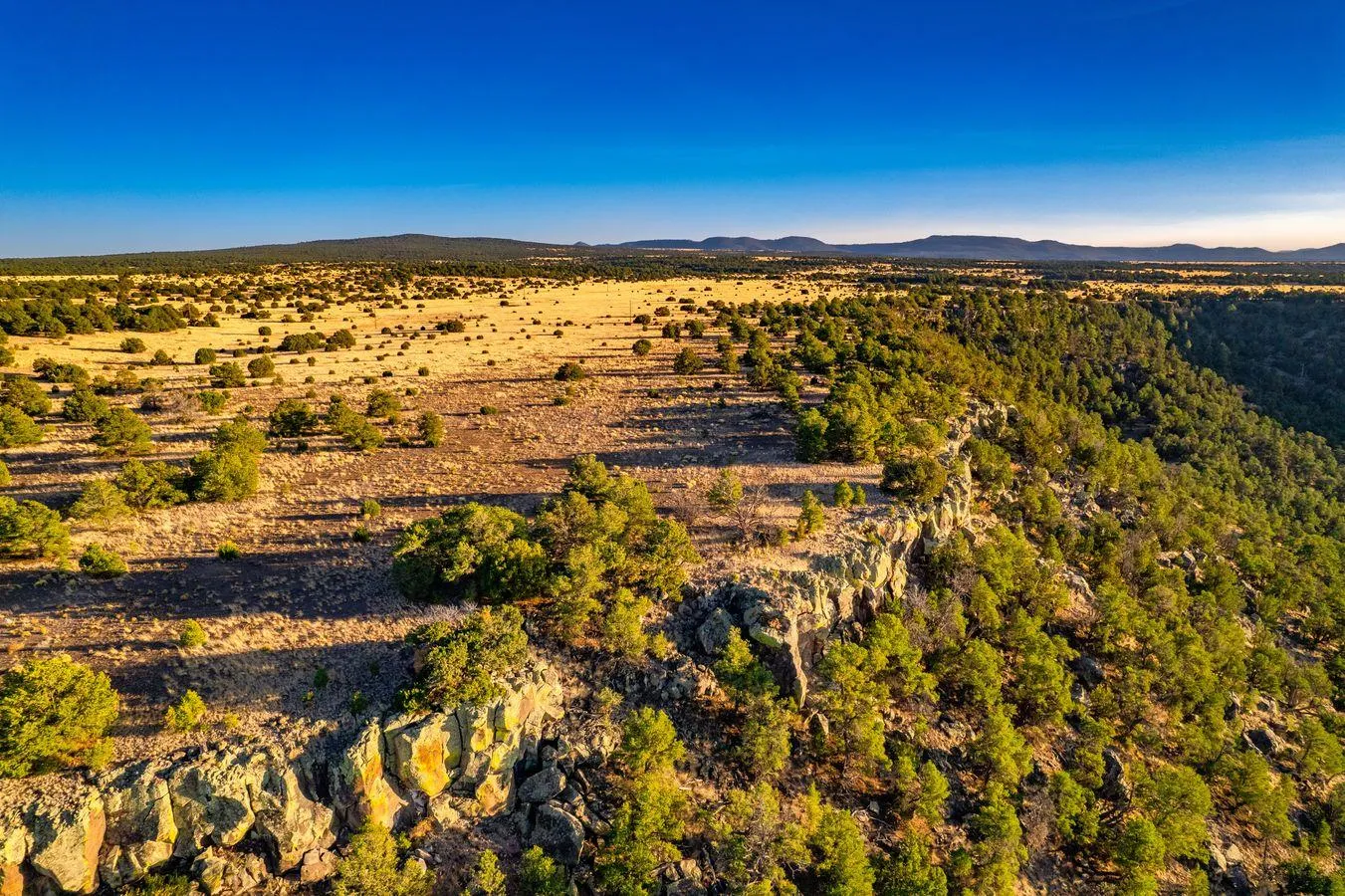 Land for Sale in Quemado, New Mexico 52 Properties