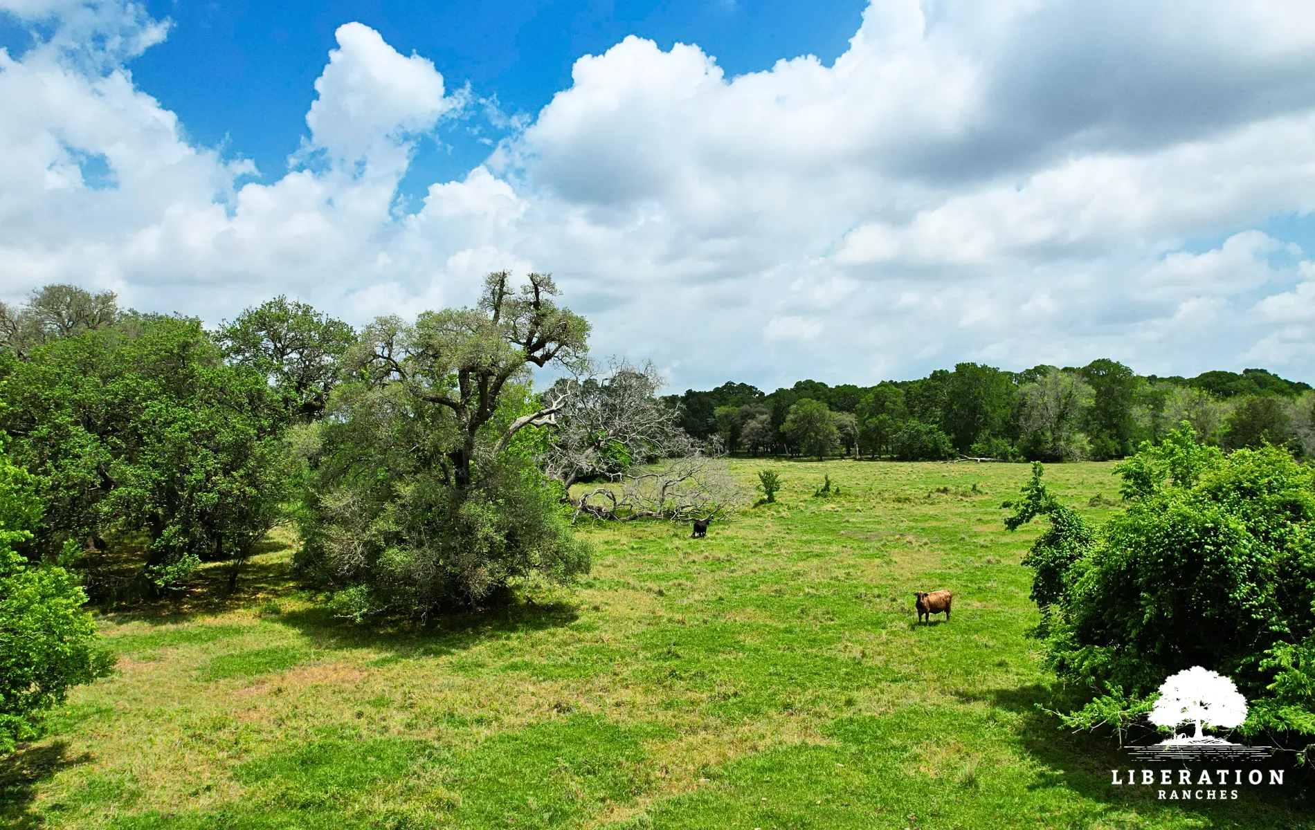 Land for Sale in Wharton County, Texas 49 Properties